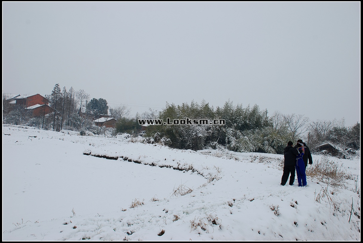 Chinese Rope Model 181