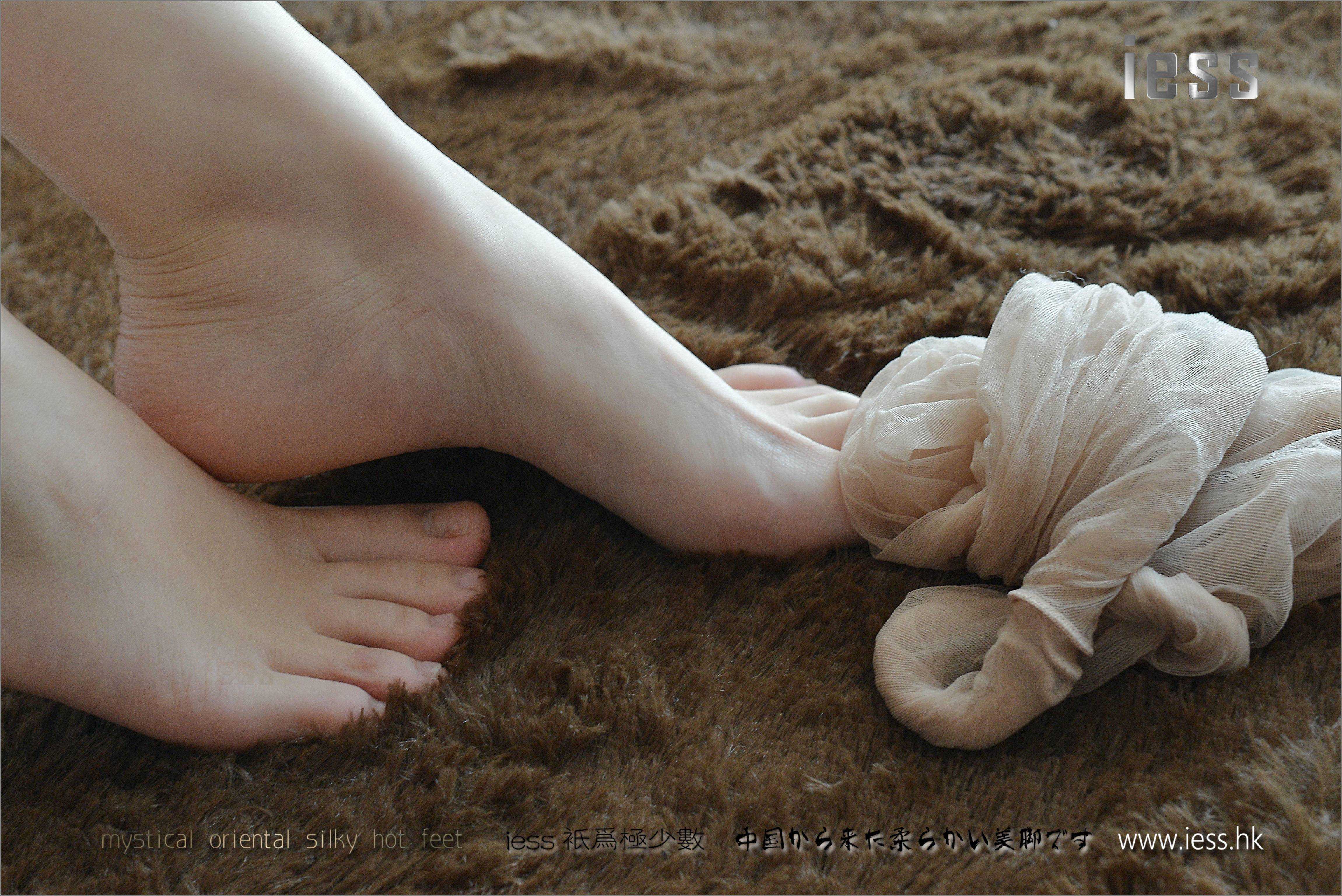 China Beauty Legs and feet 209