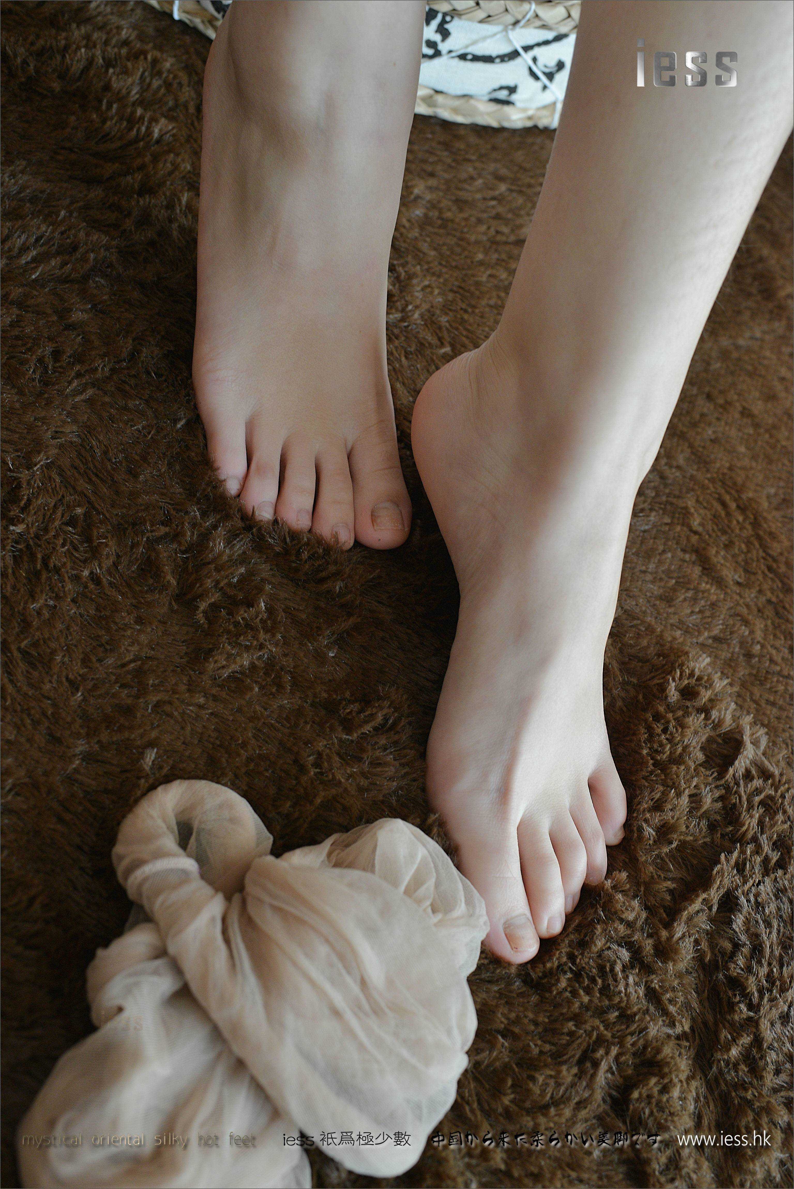 China Beauty Legs and feet 209