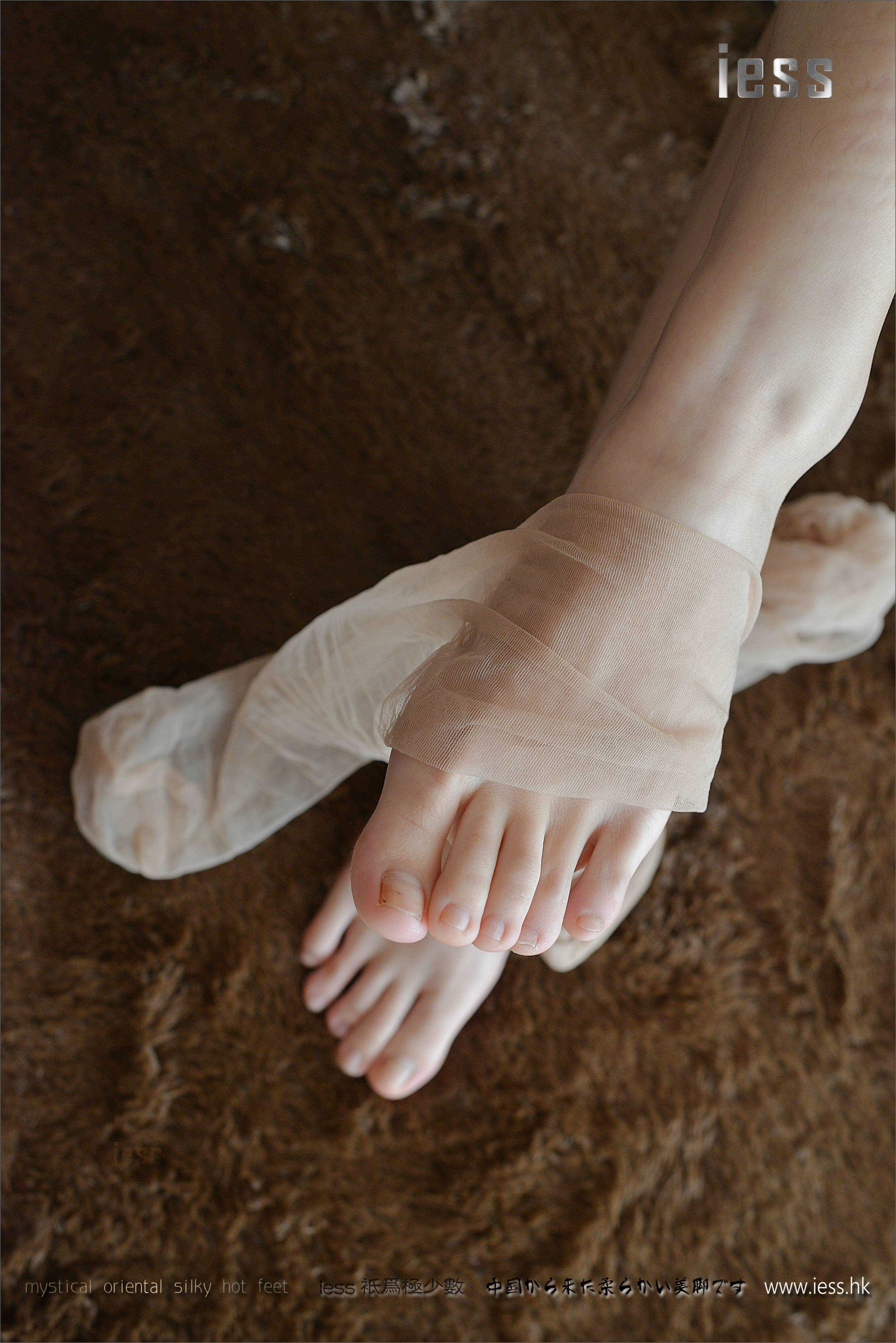 China Beauty Legs and feet 209