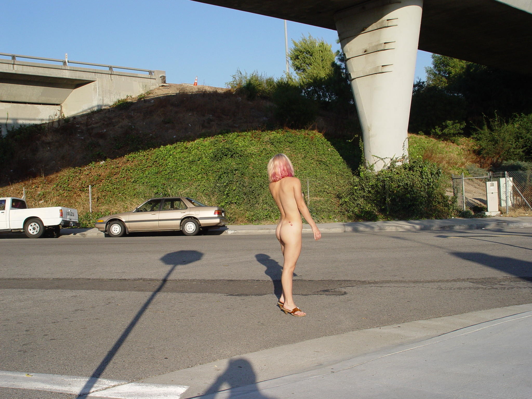 Brandy Slavsky naked in public