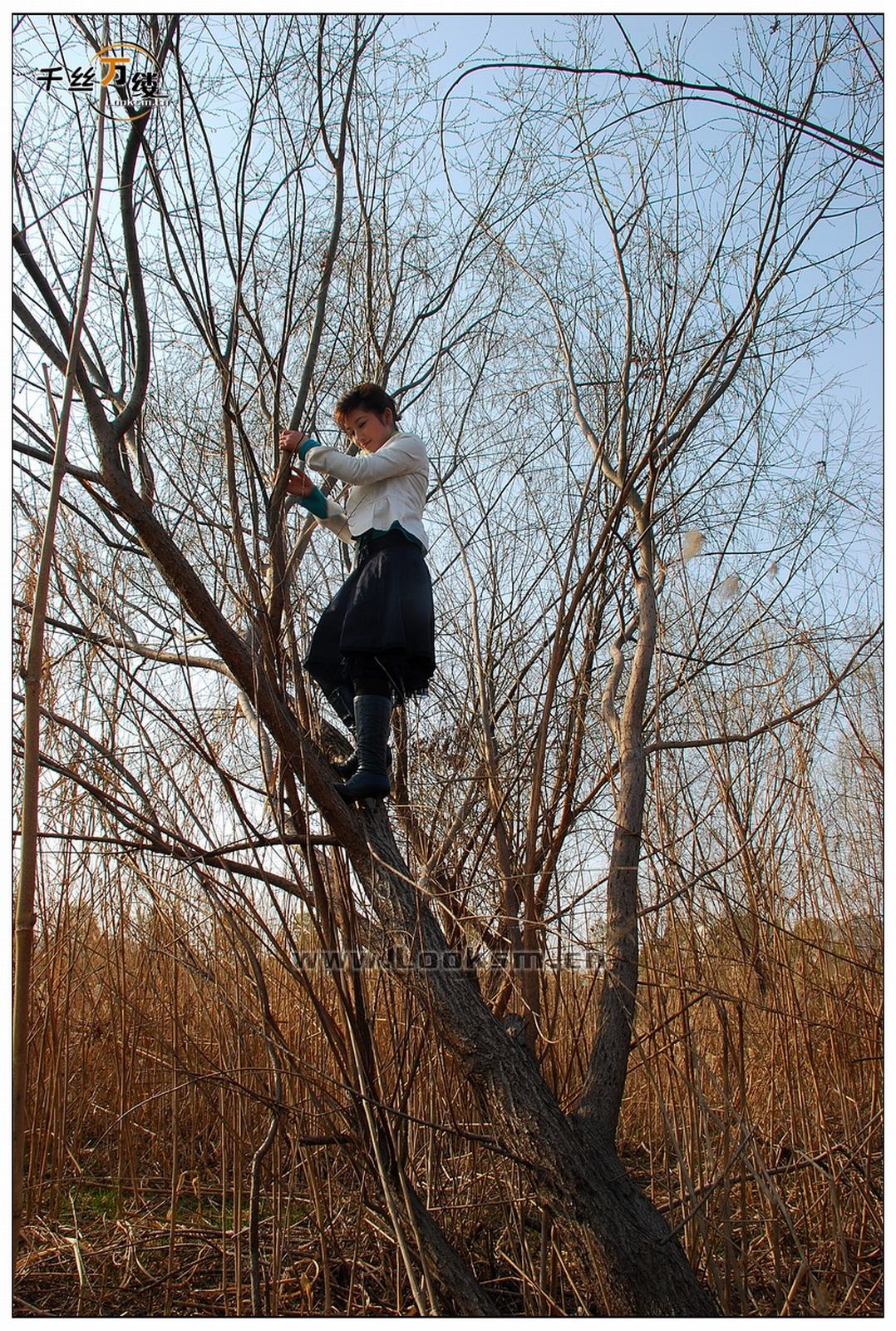 Chinese Rope Model 202