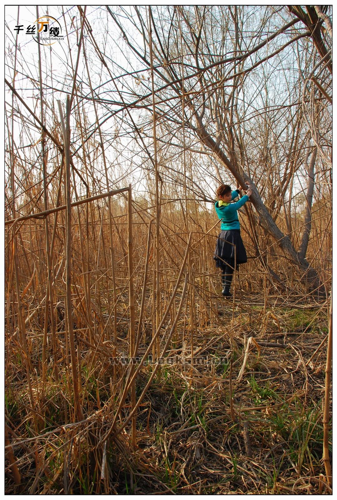 Chinese Rope Model 202