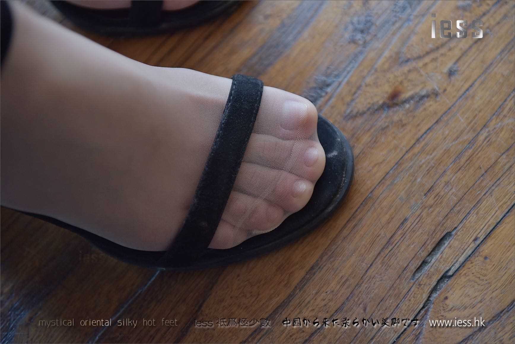 China Beauty Legs and feet 221