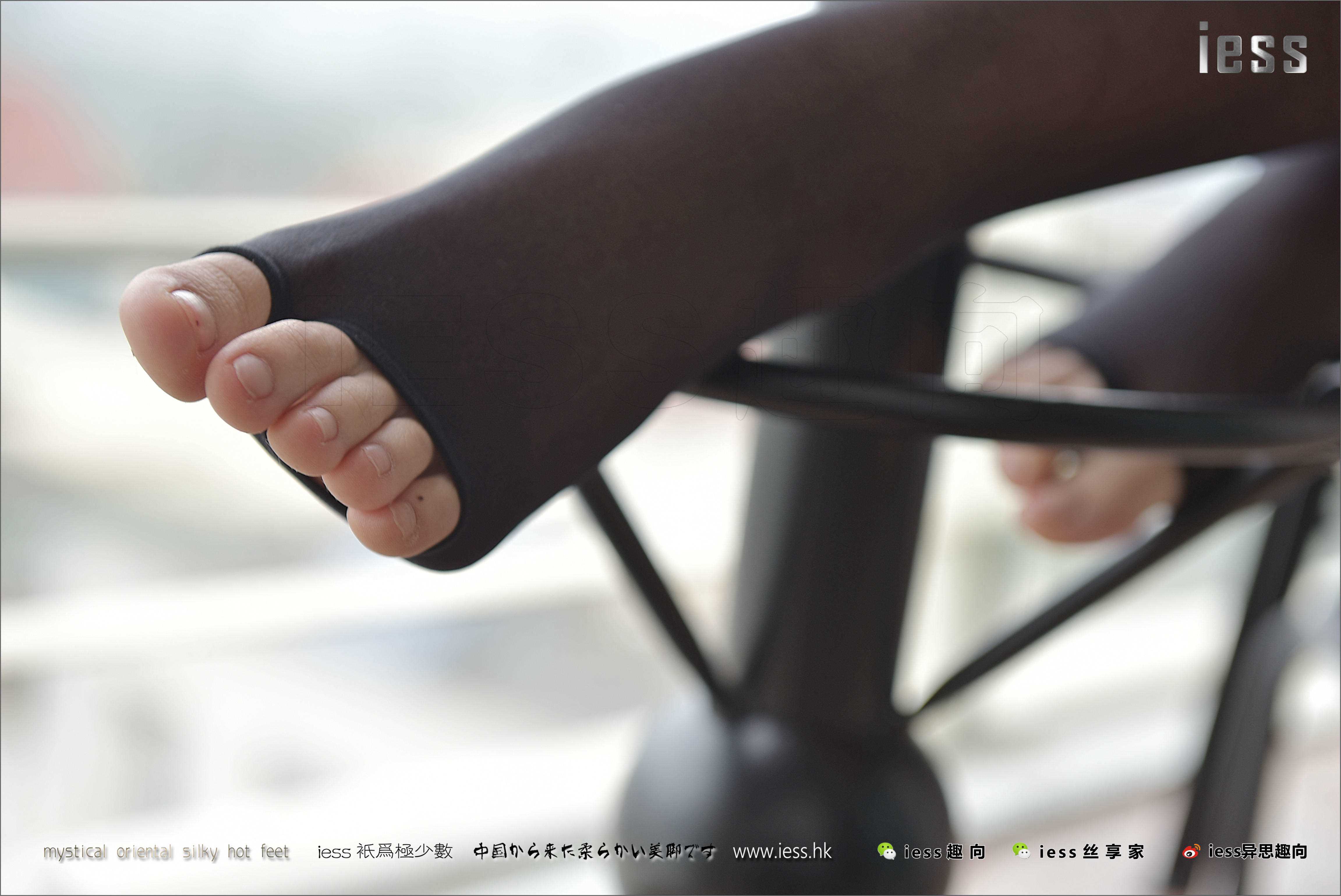 China Beauty Legs and feet 231