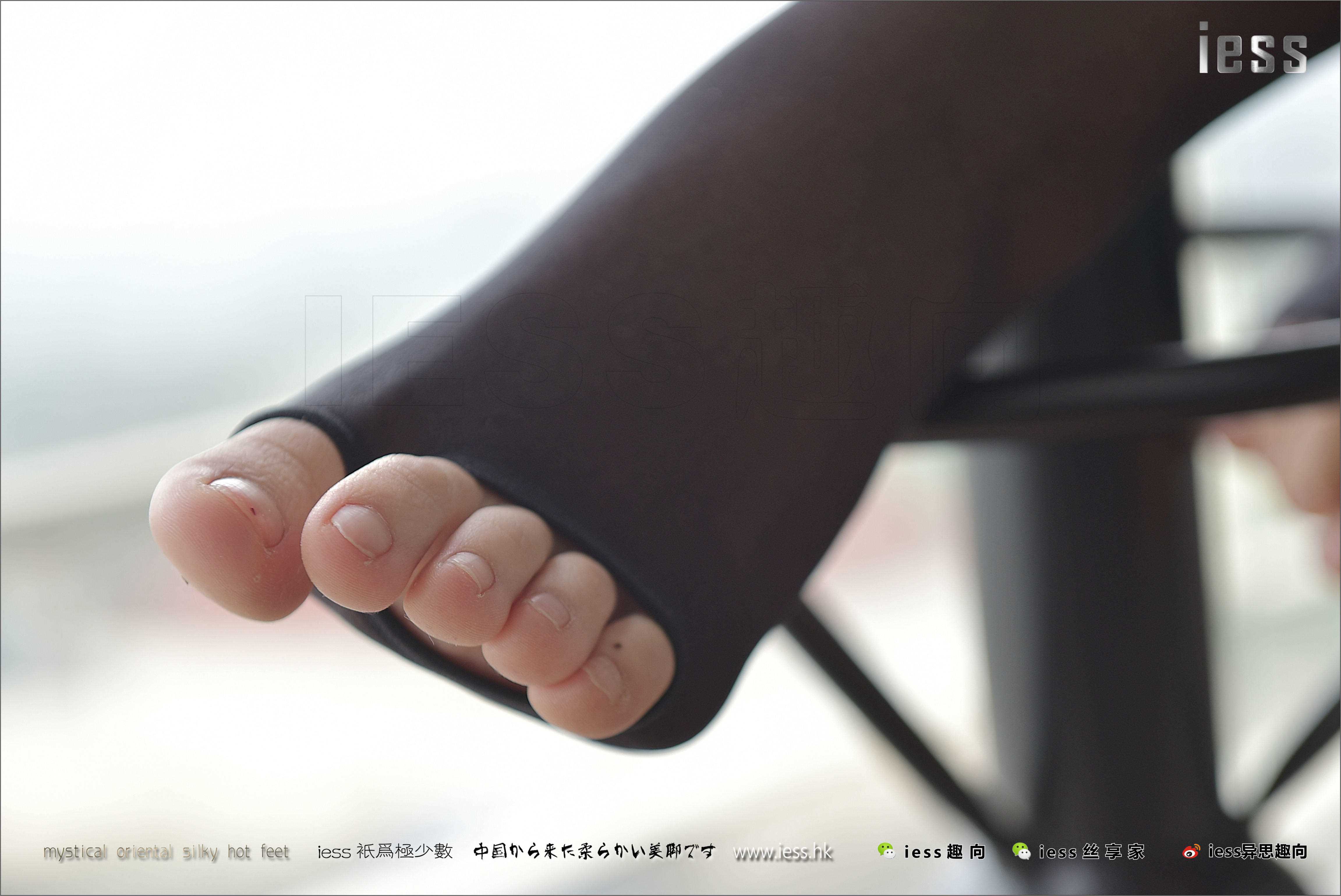 China Beauty Legs and feet 231