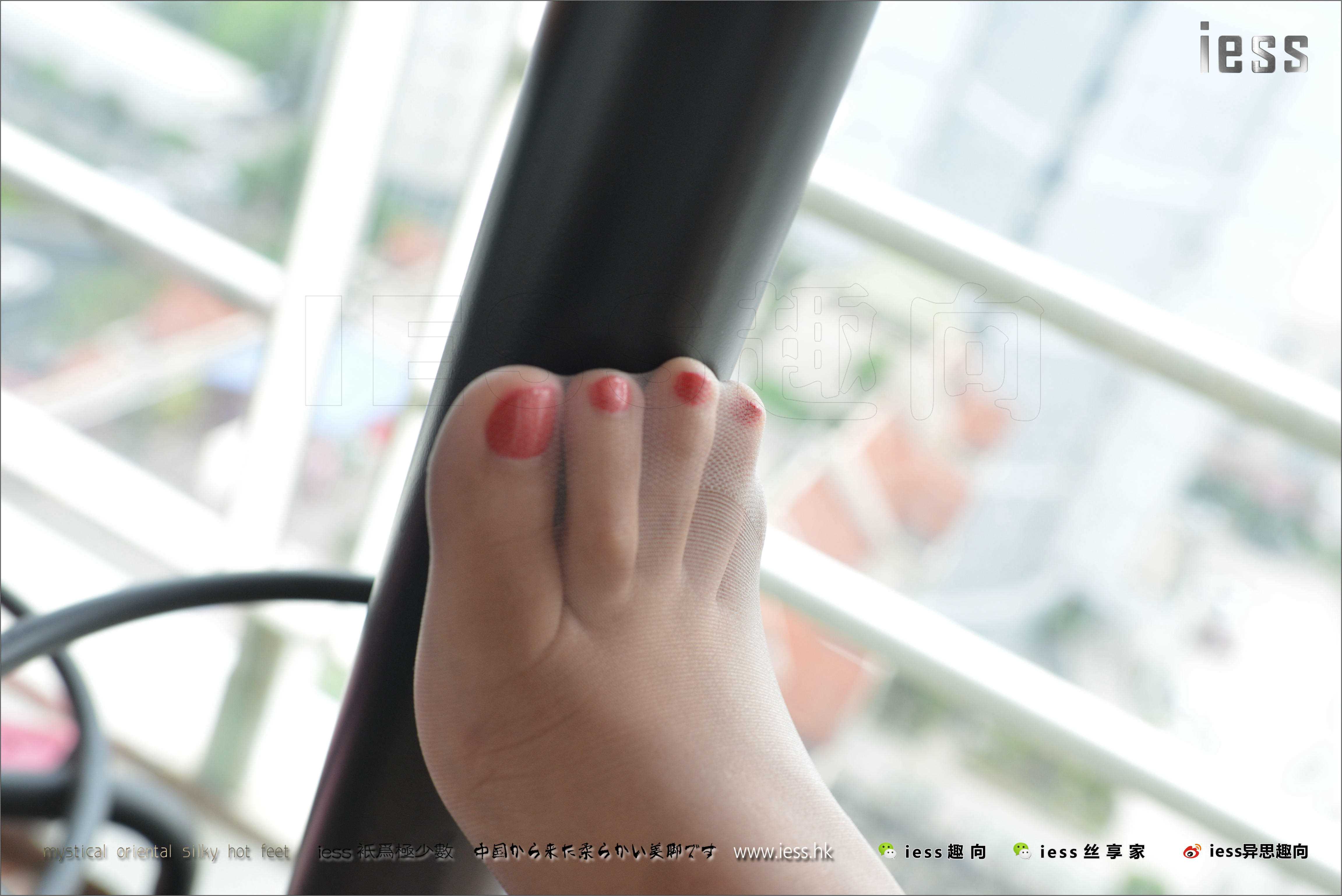 China Beauty Legs and feet 234