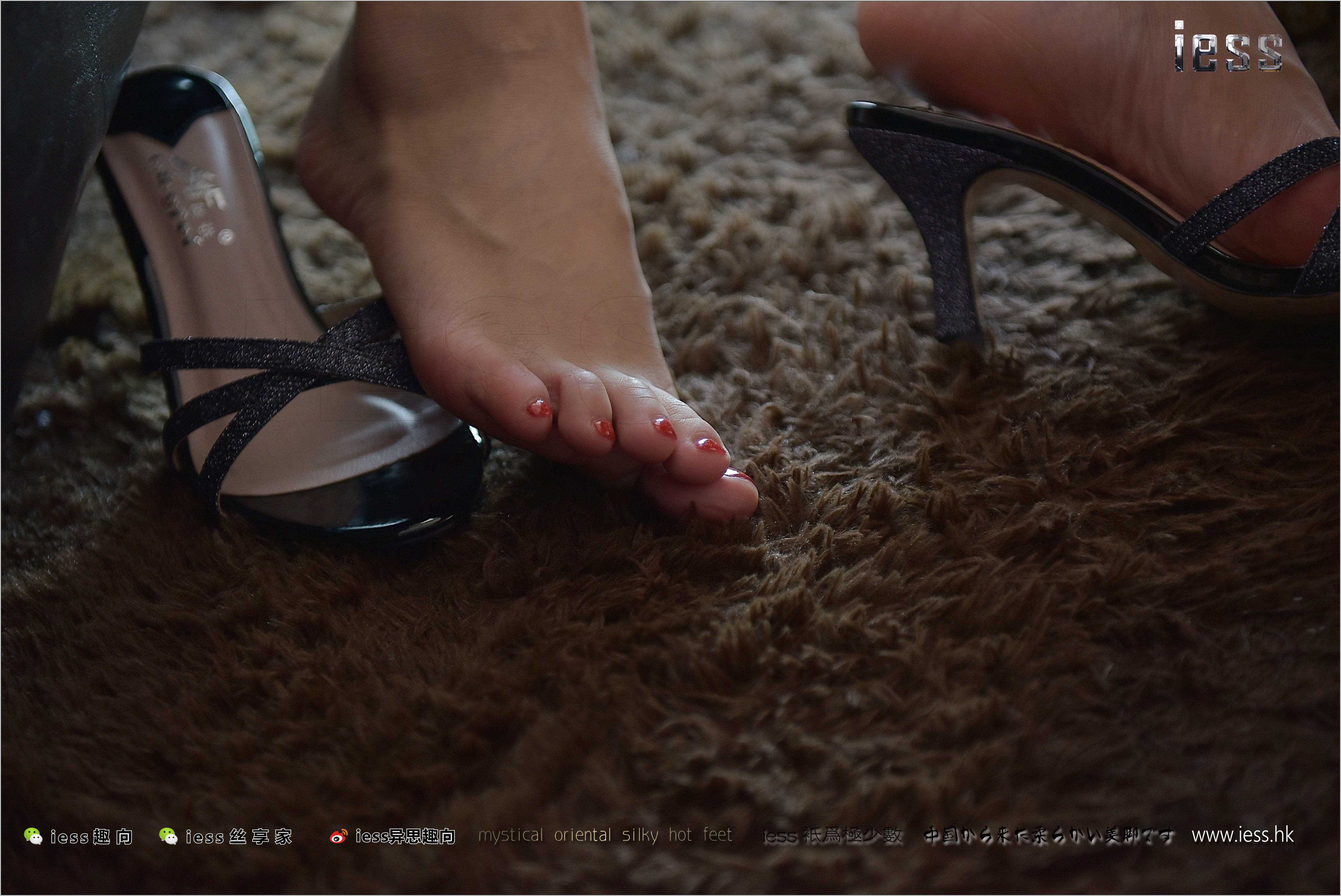 China Beauty Legs and feet 238