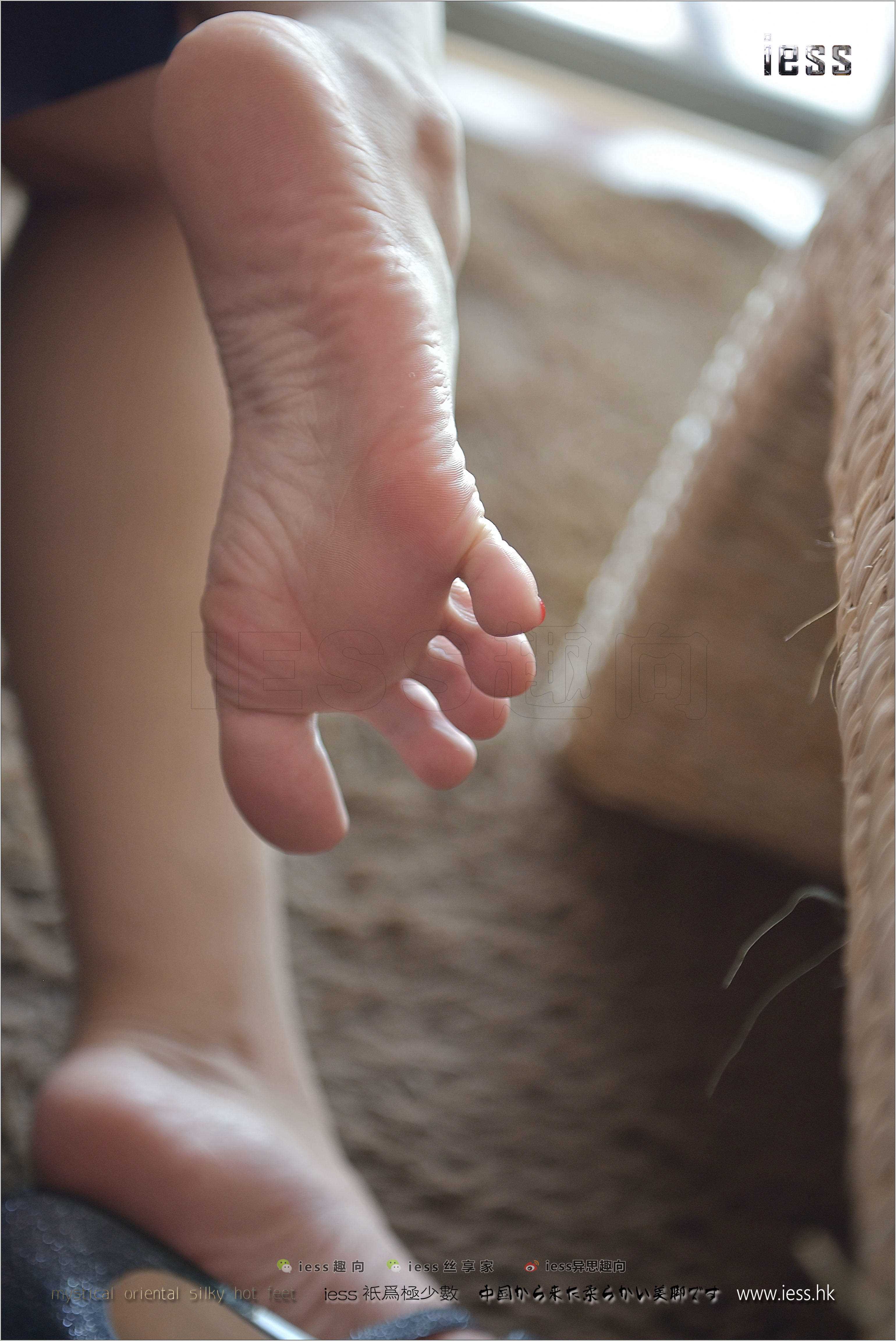 China Beauty Legs and feet 238