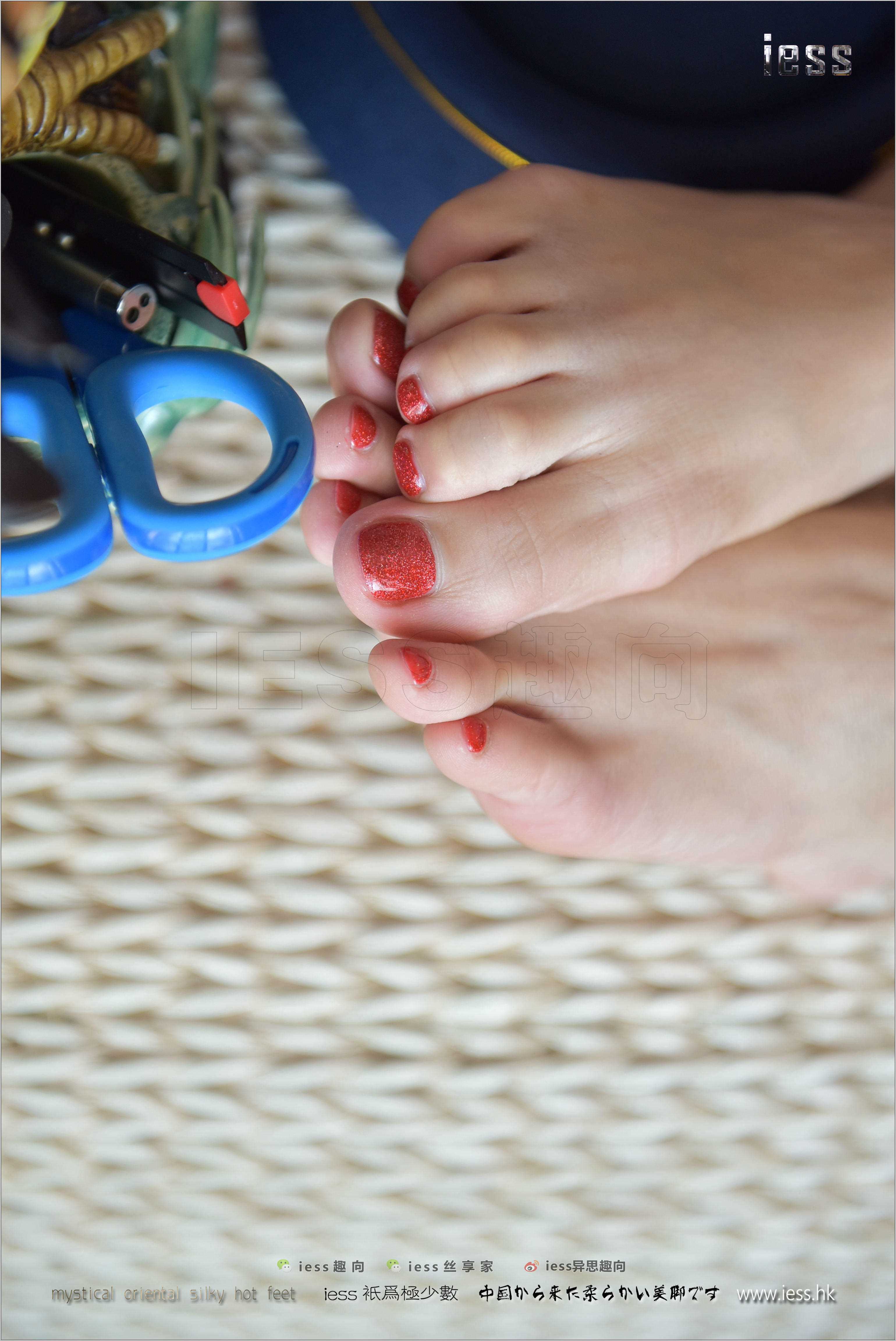 China Beauty Legs and feet 238