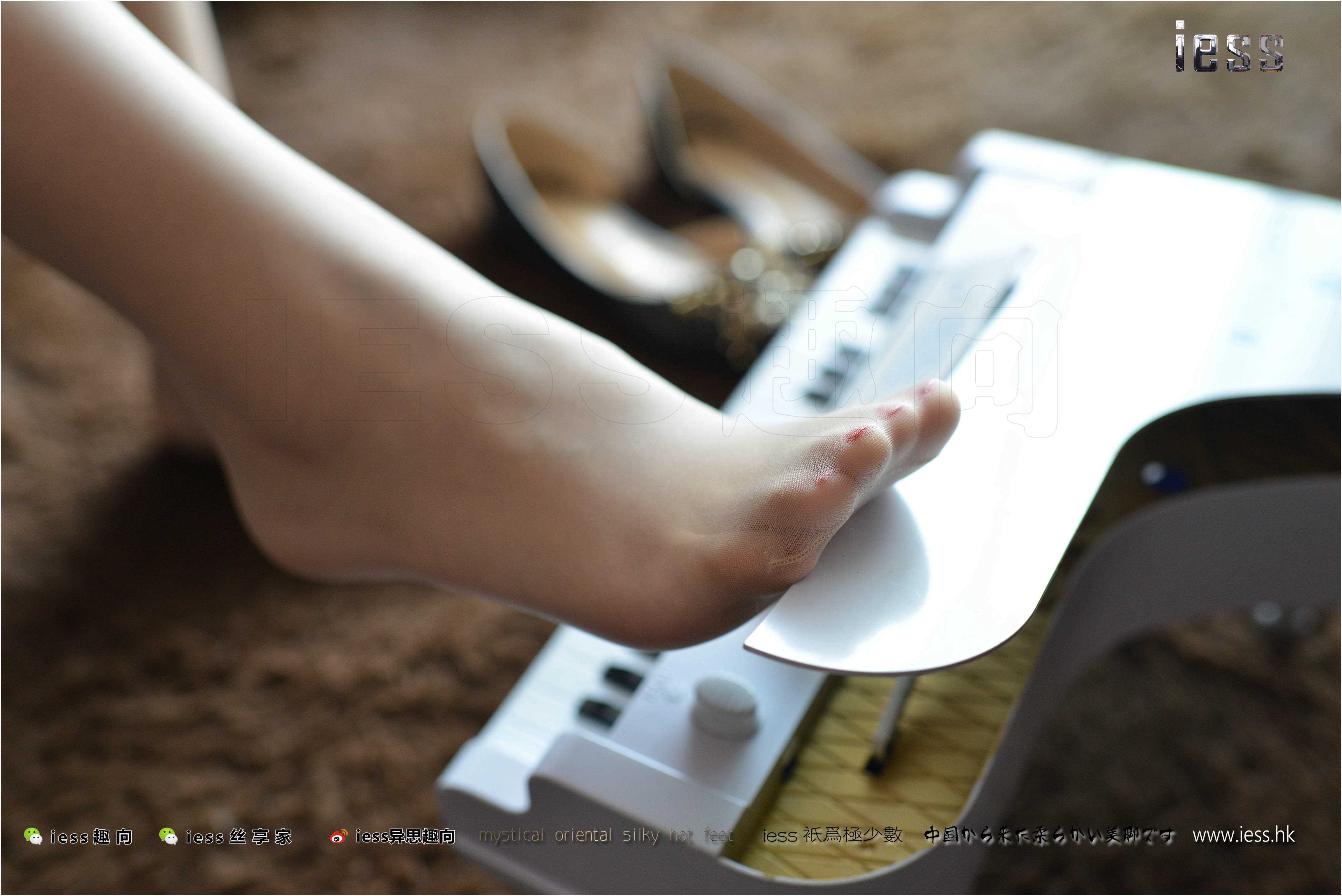 China Beauty Legs and feet 239