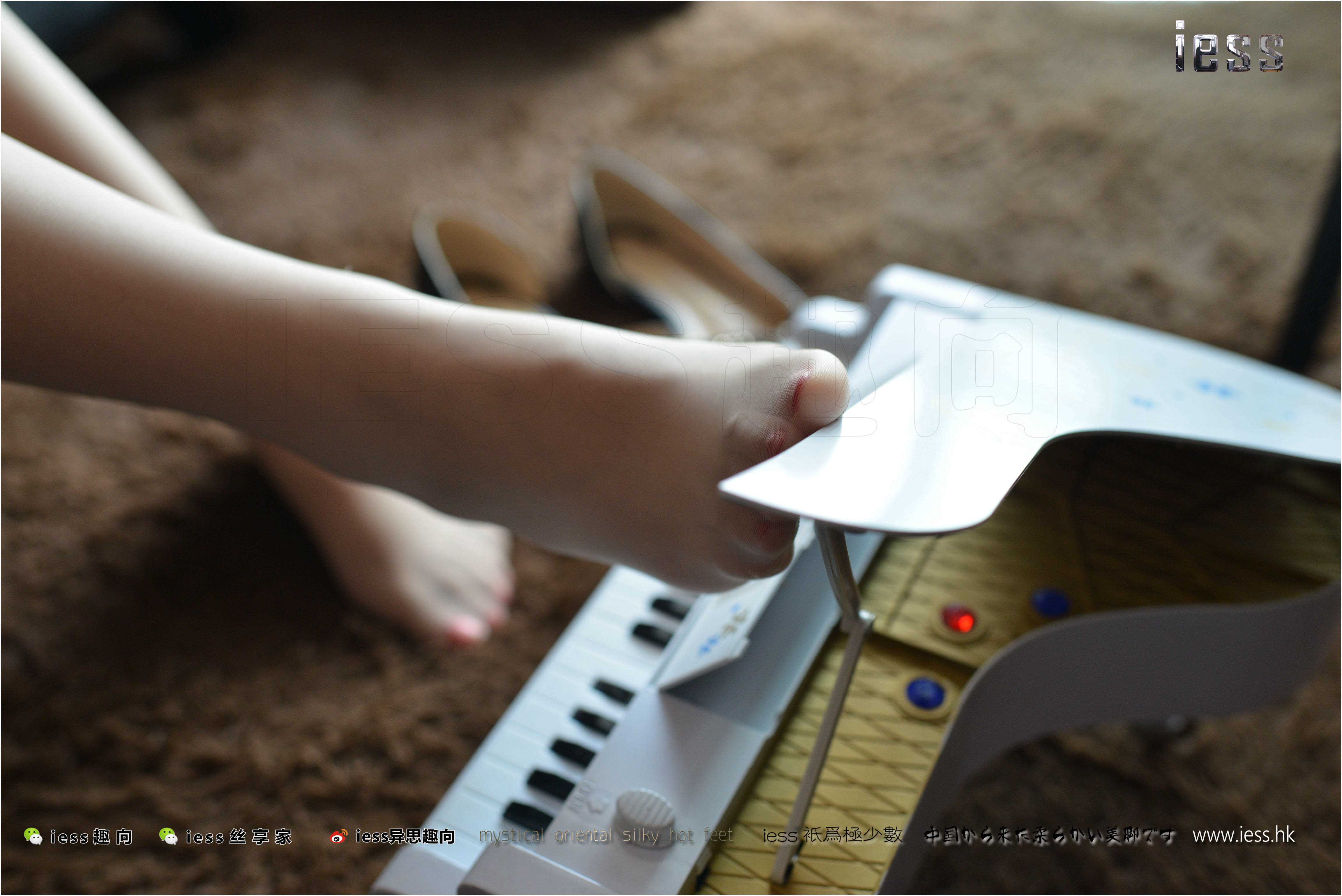 China Beauty Legs and feet 239