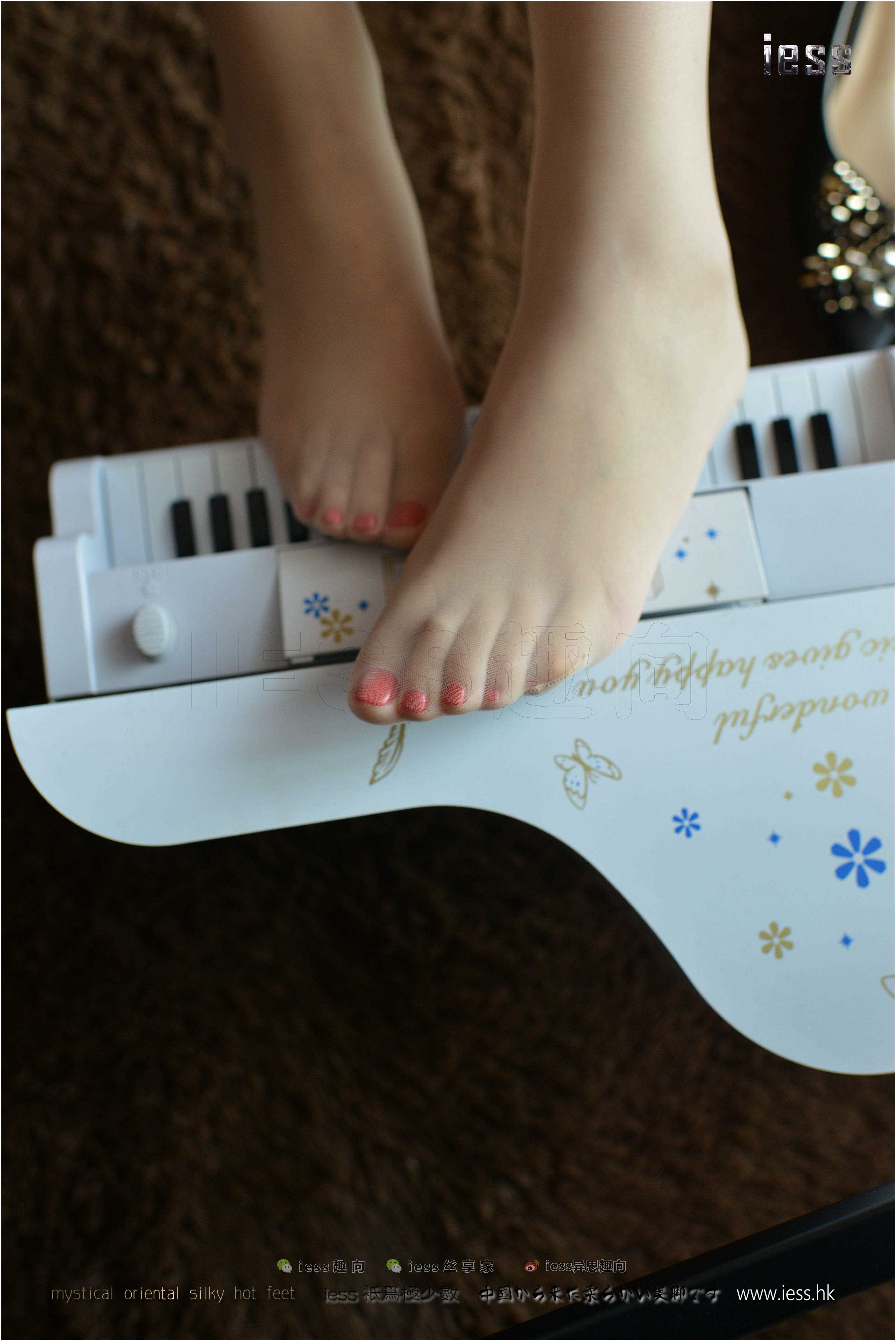 China Beauty Legs and feet 239