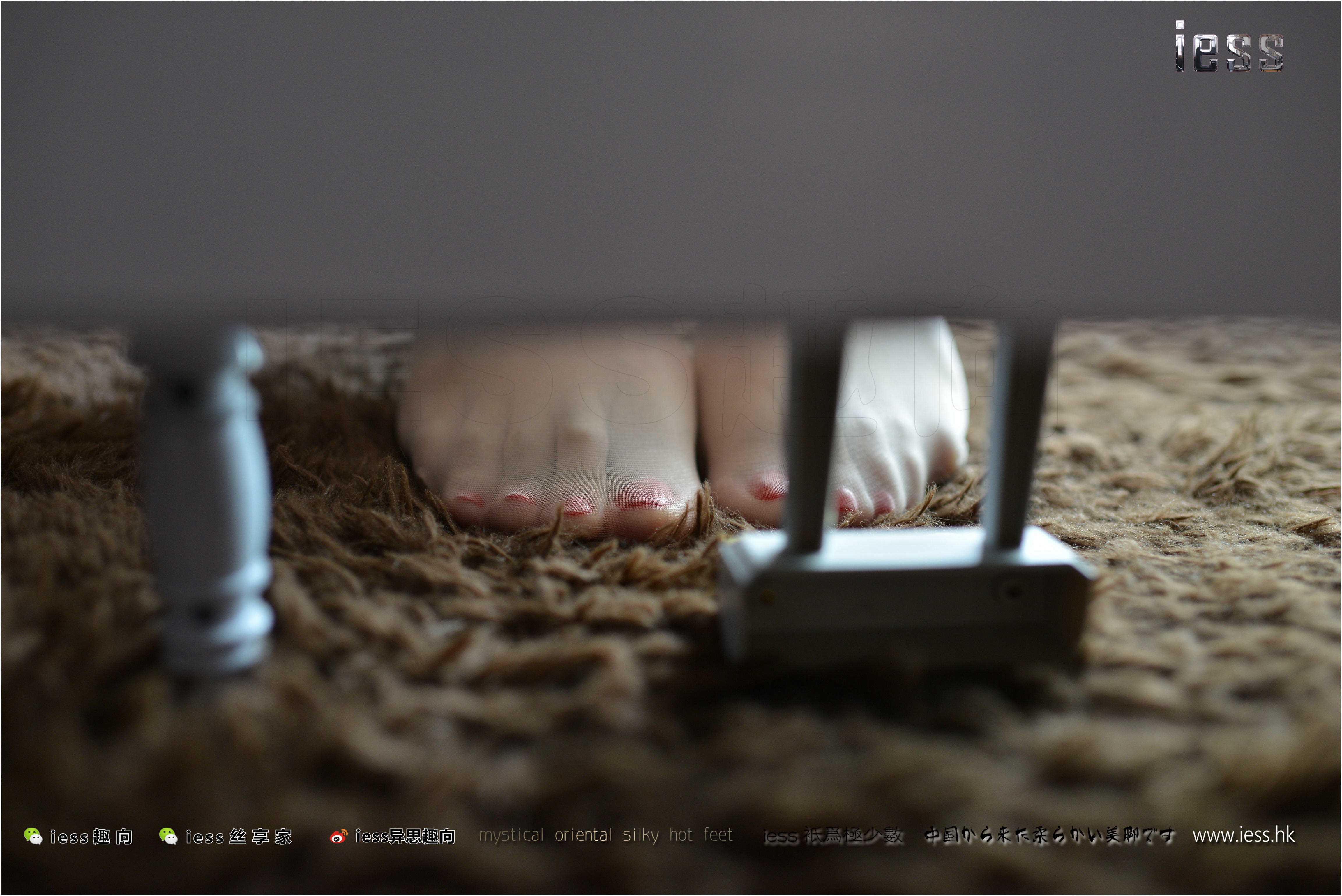 China Beauty Legs and feet 239