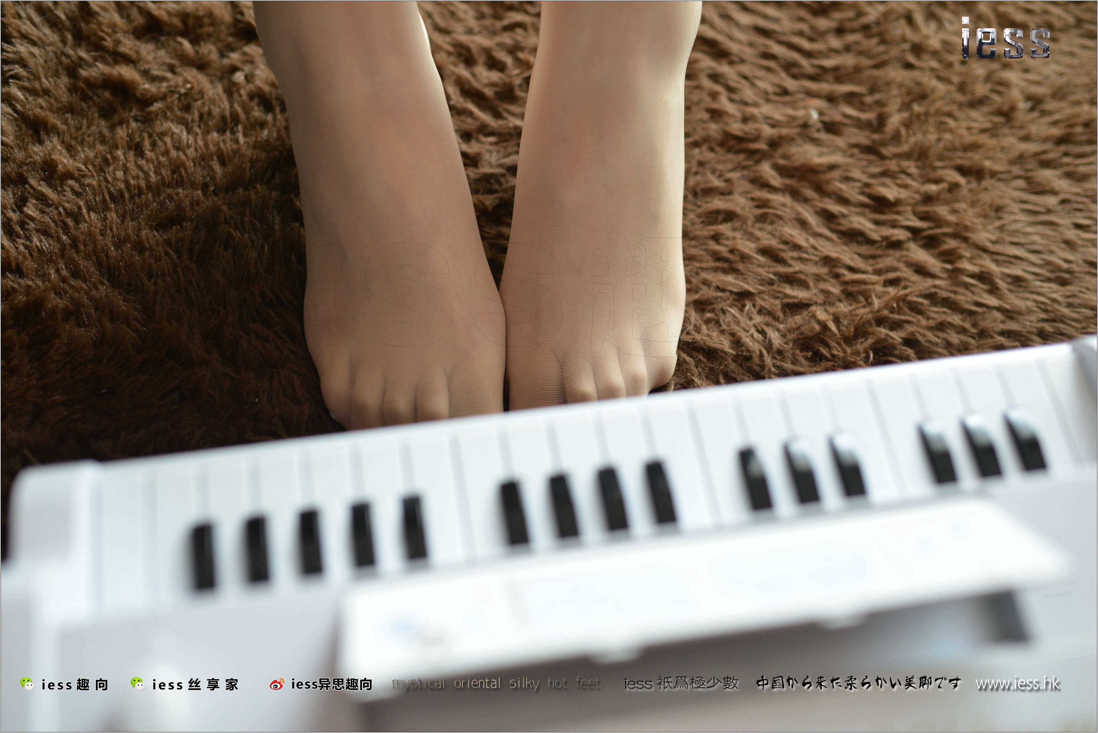 China Beauty Legs and feet 239