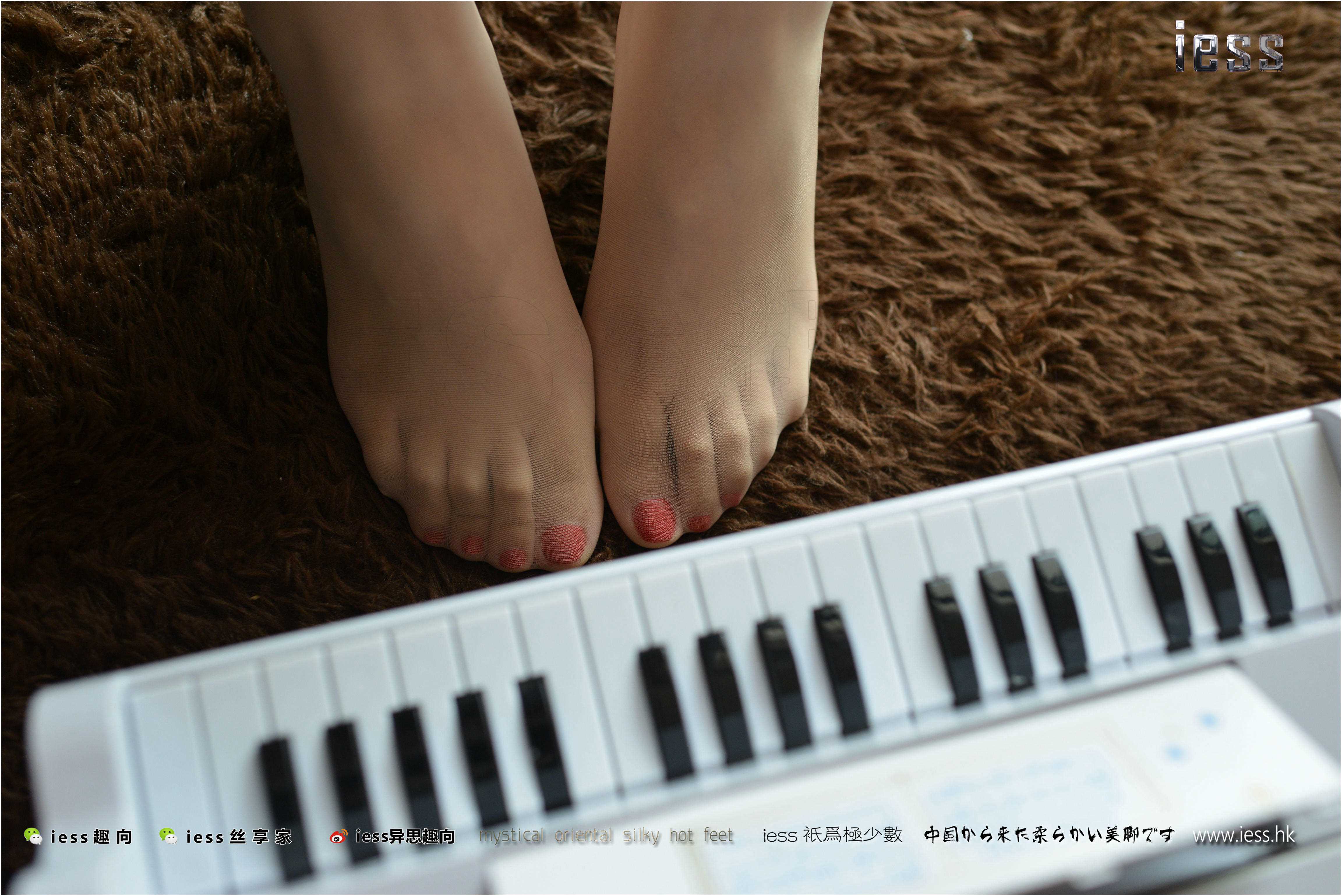 China Beauty Legs and feet 239