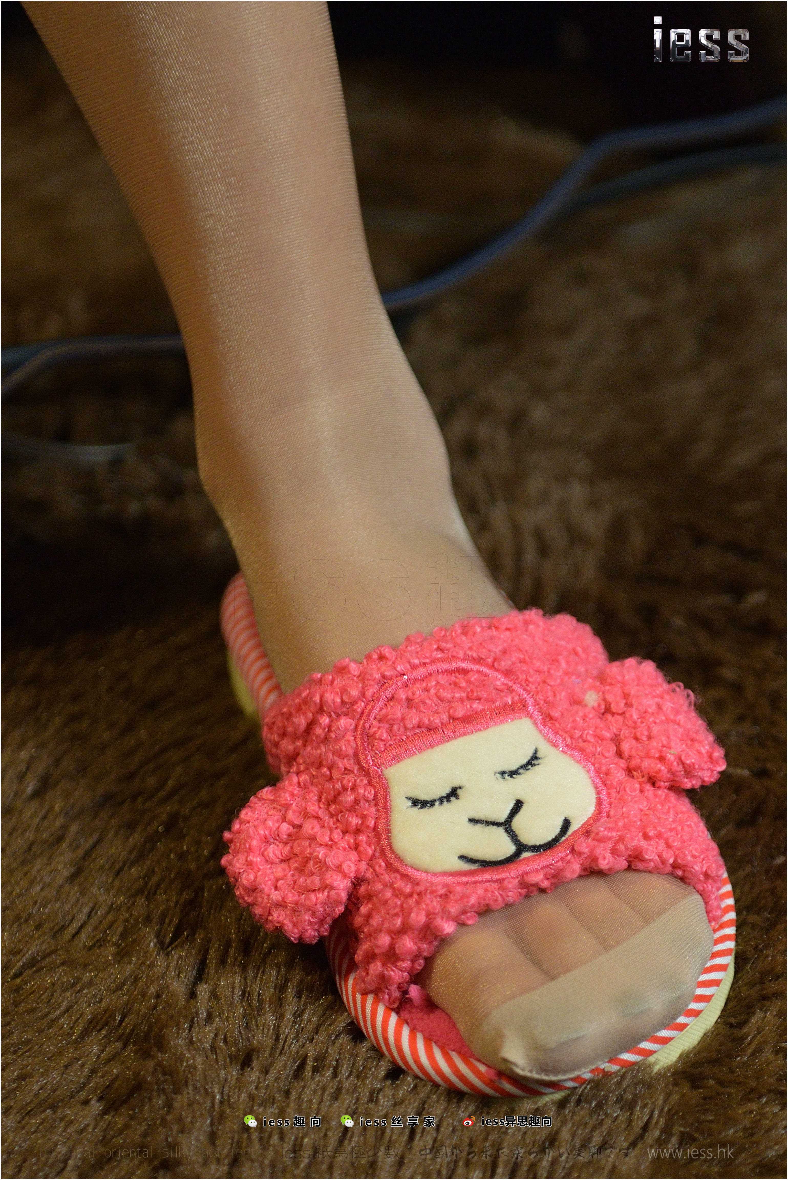 China Beauty Legs and feet 244