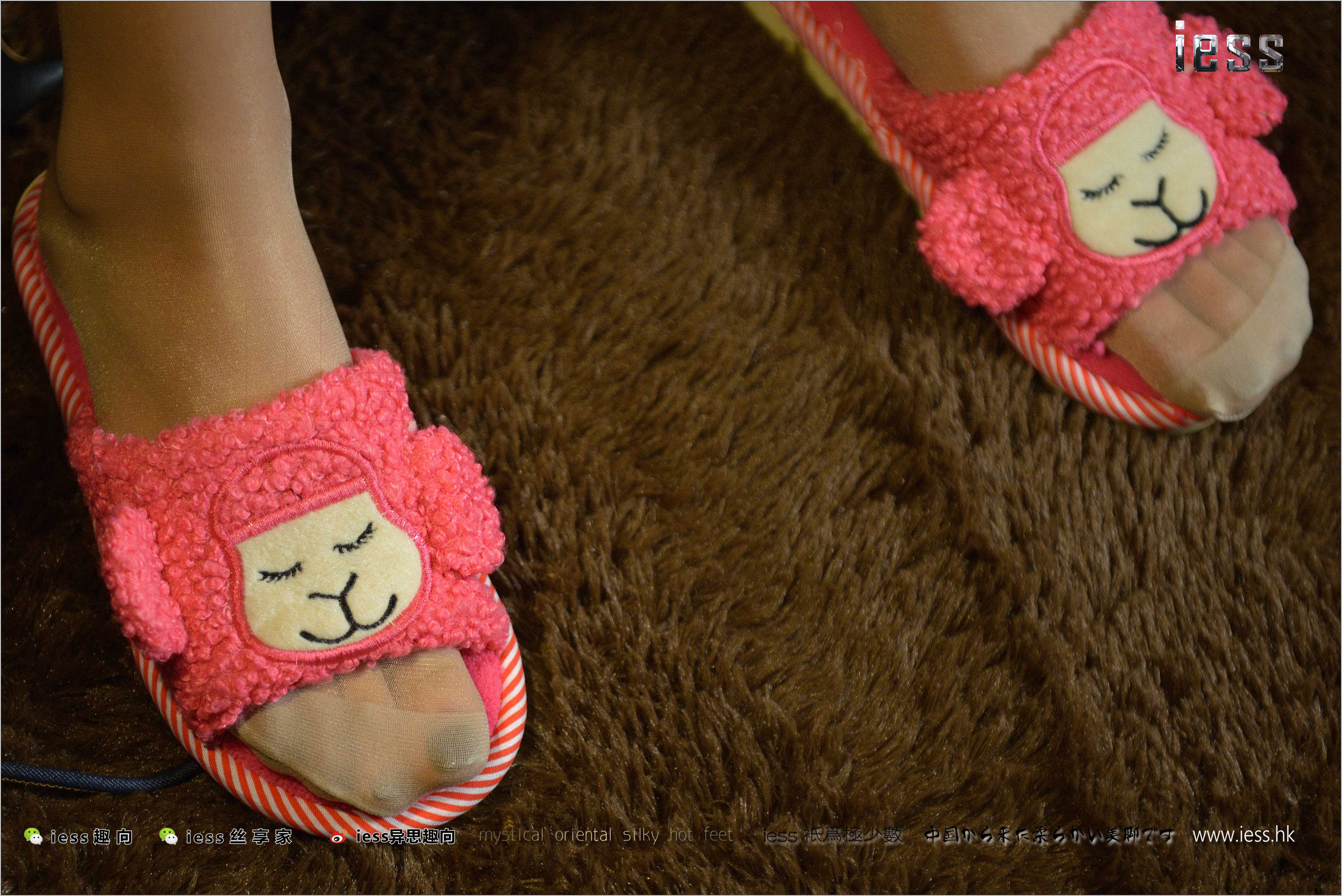 China Beauty Legs and feet 244