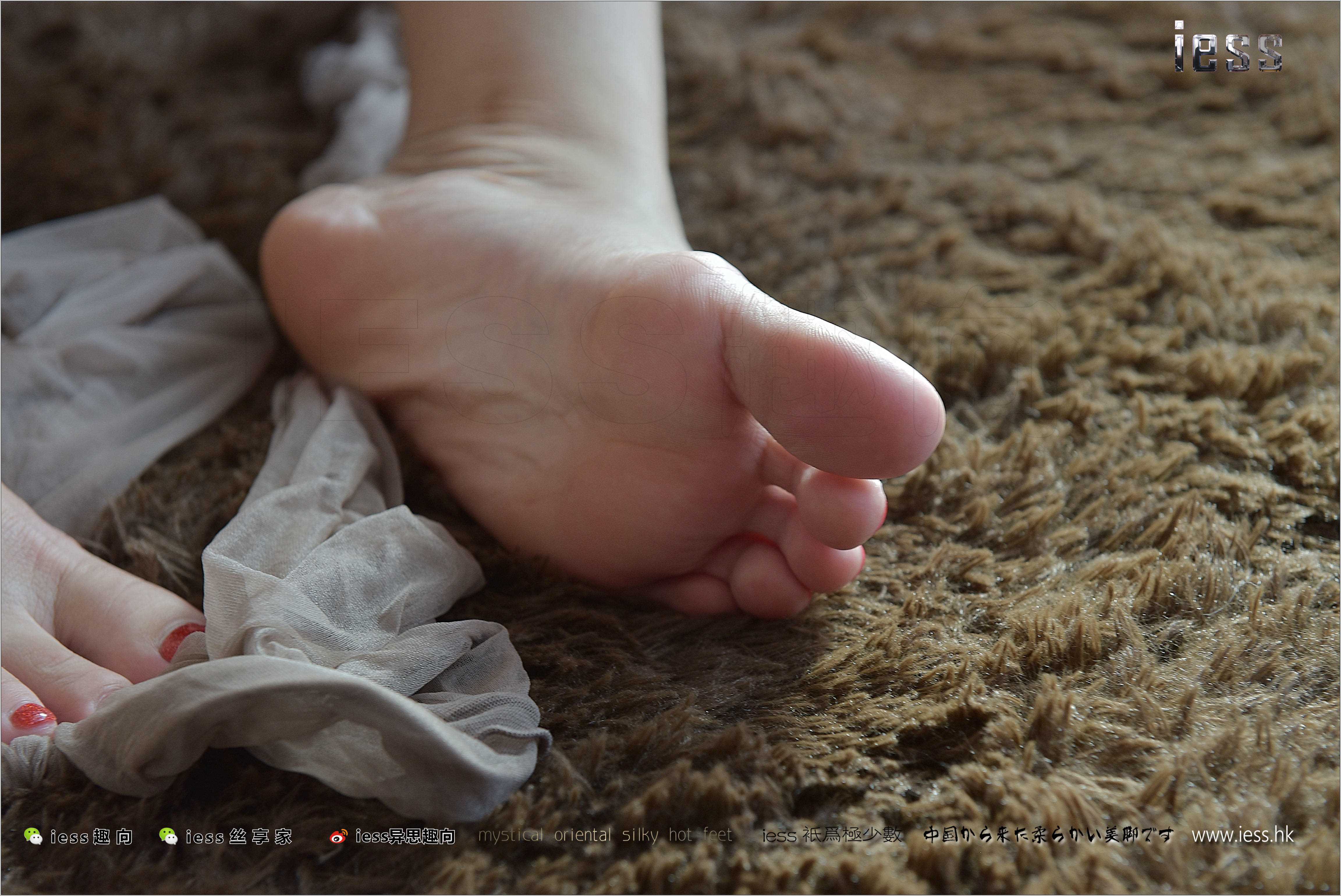 China Beauty Legs and feet 247