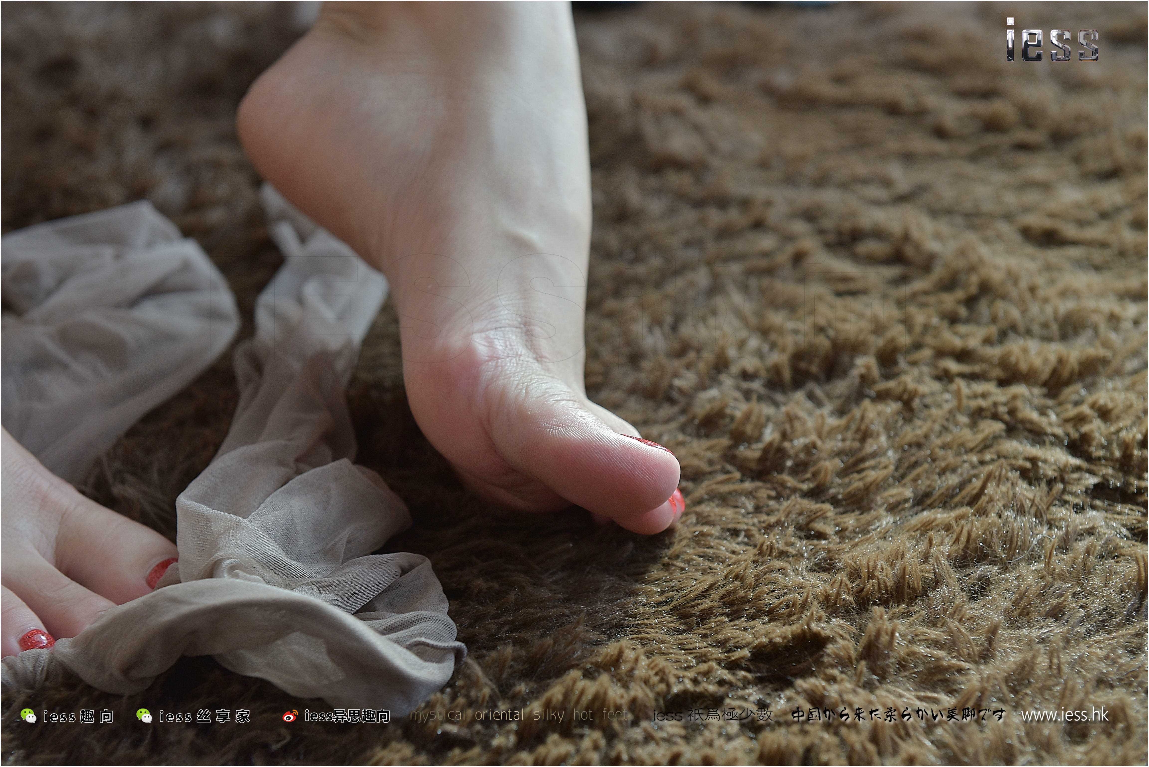 China Beauty Legs and feet 247