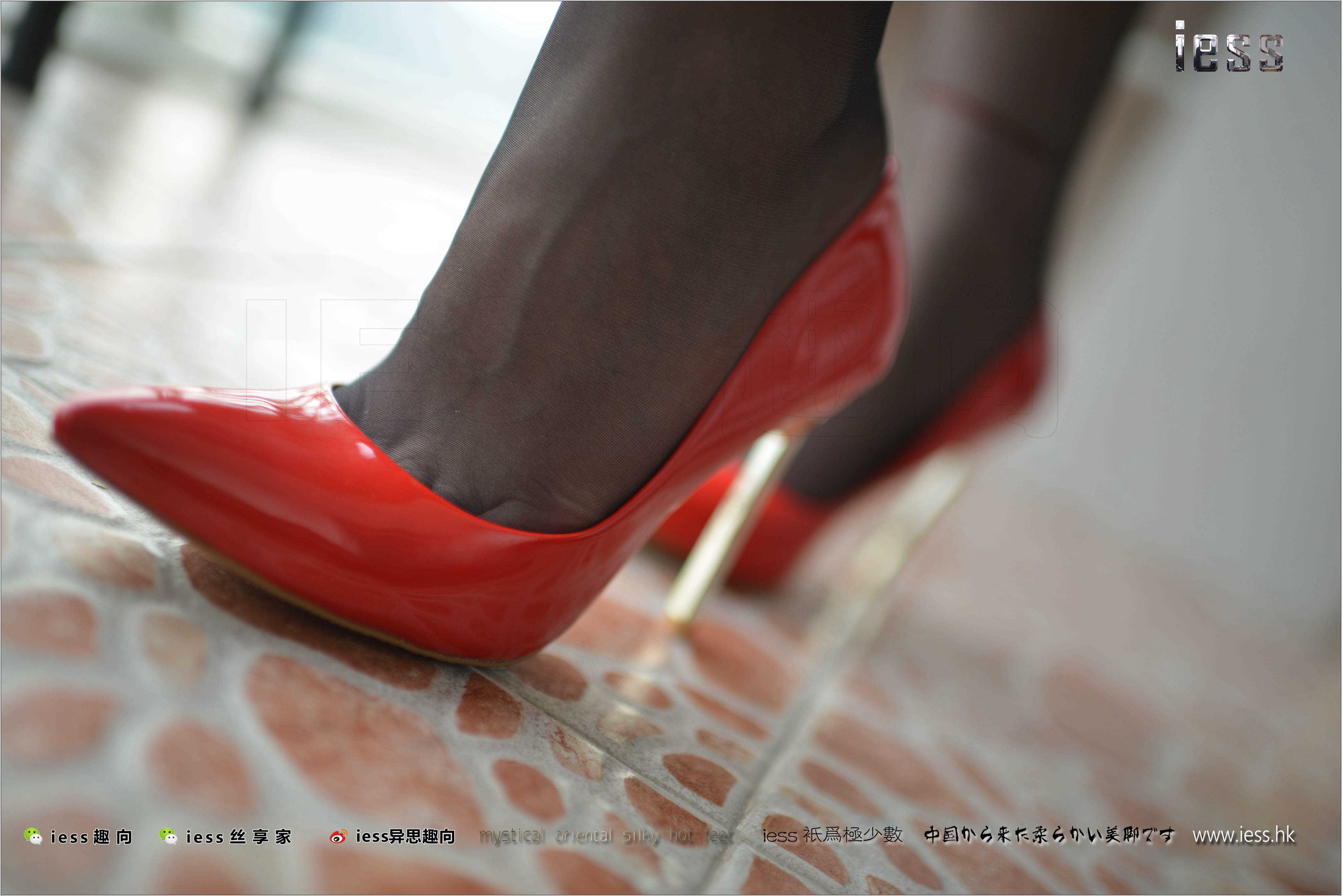 China Beauty Legs and feet 248