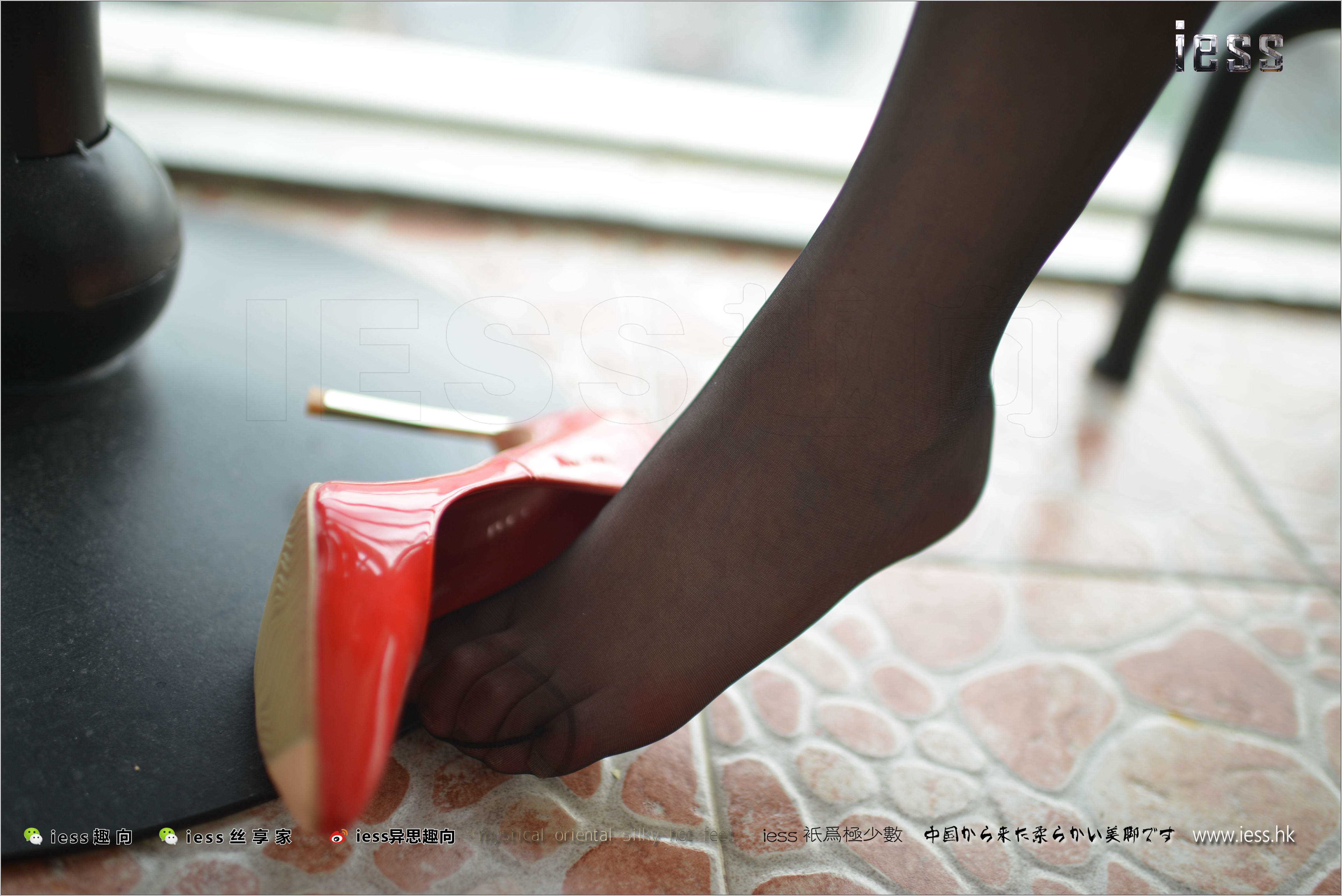 China Beauty Legs and feet 248