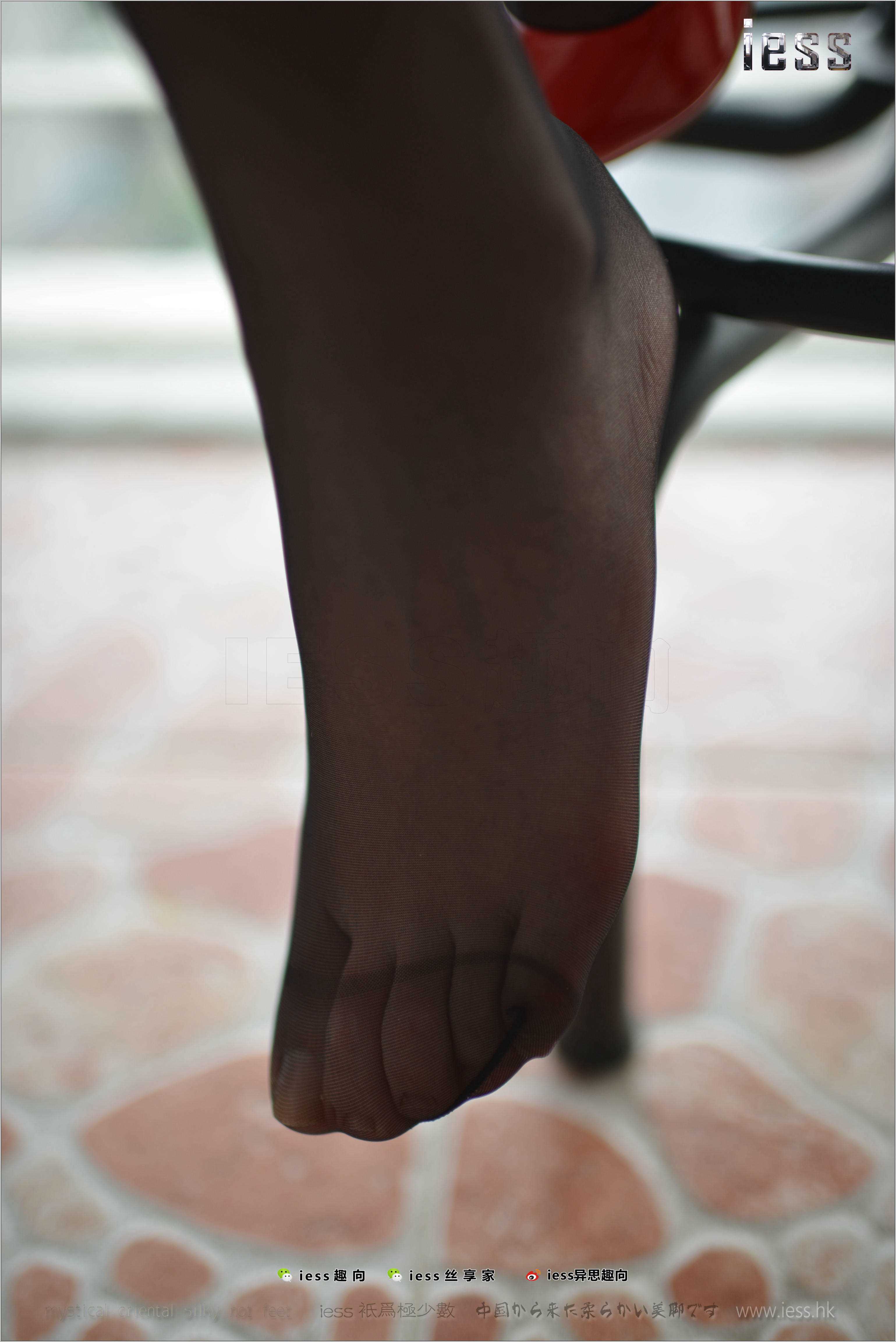 China Beauty Legs and feet 248