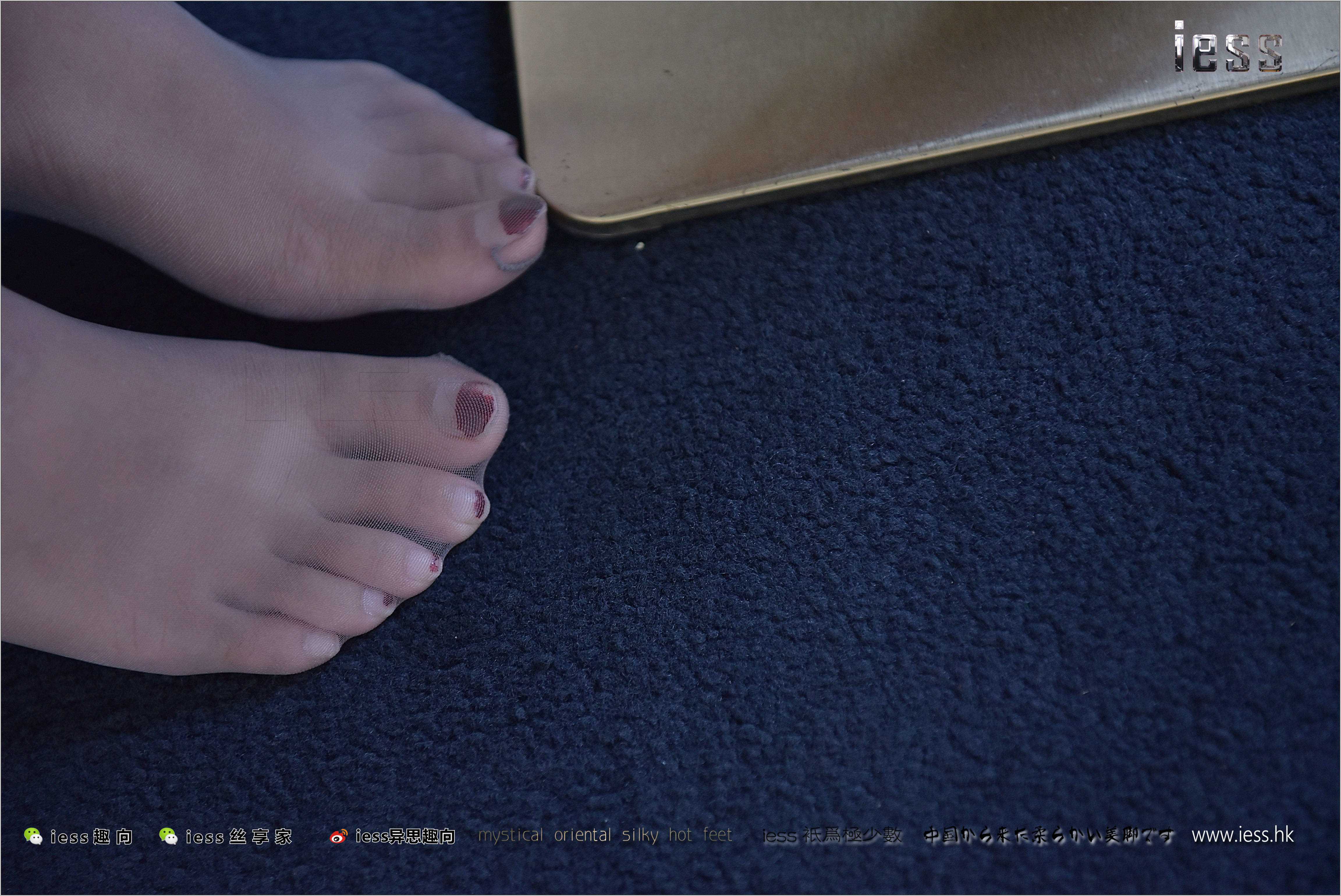 China Beauty Legs and feet 250