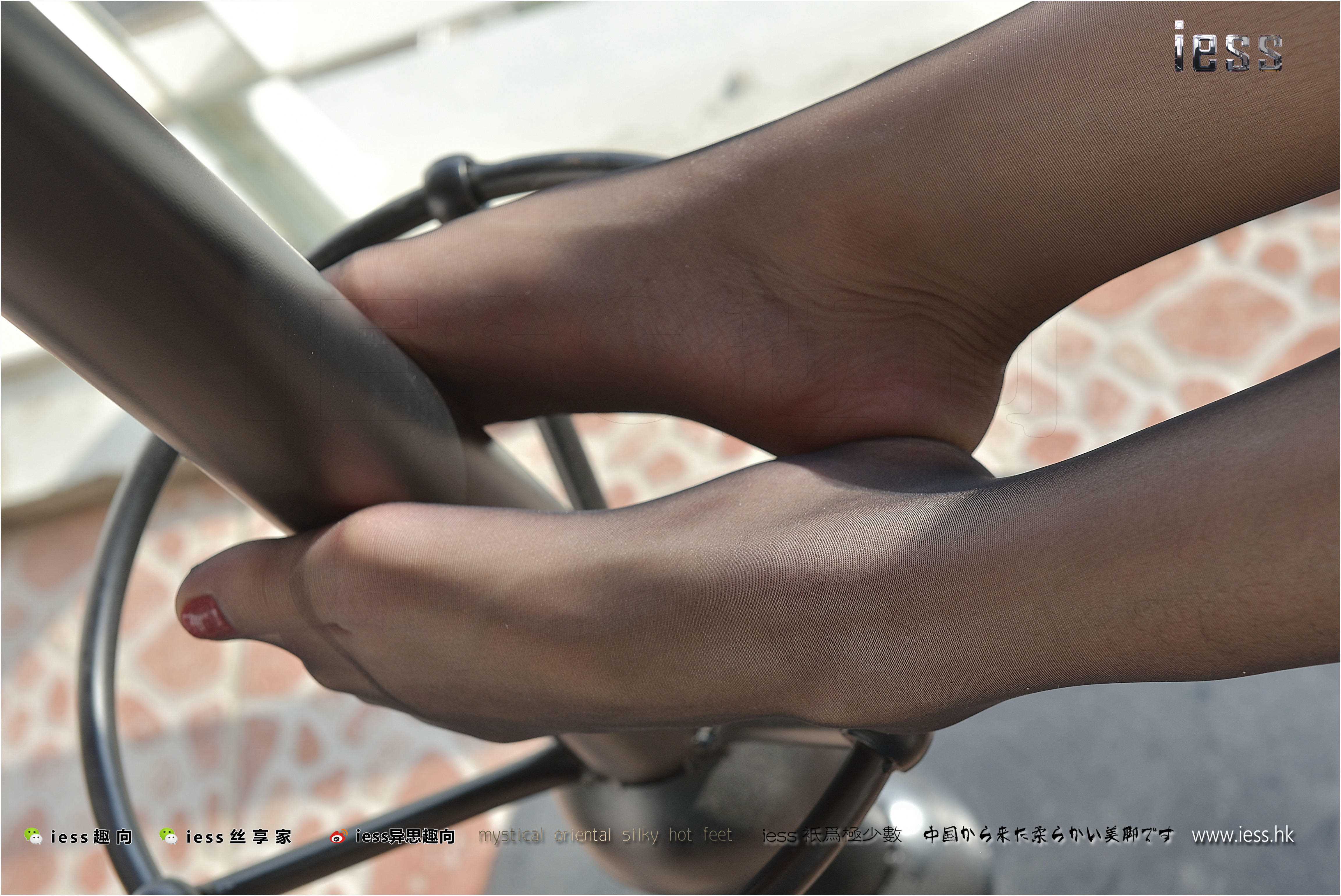 China Beauty Legs and feet 258