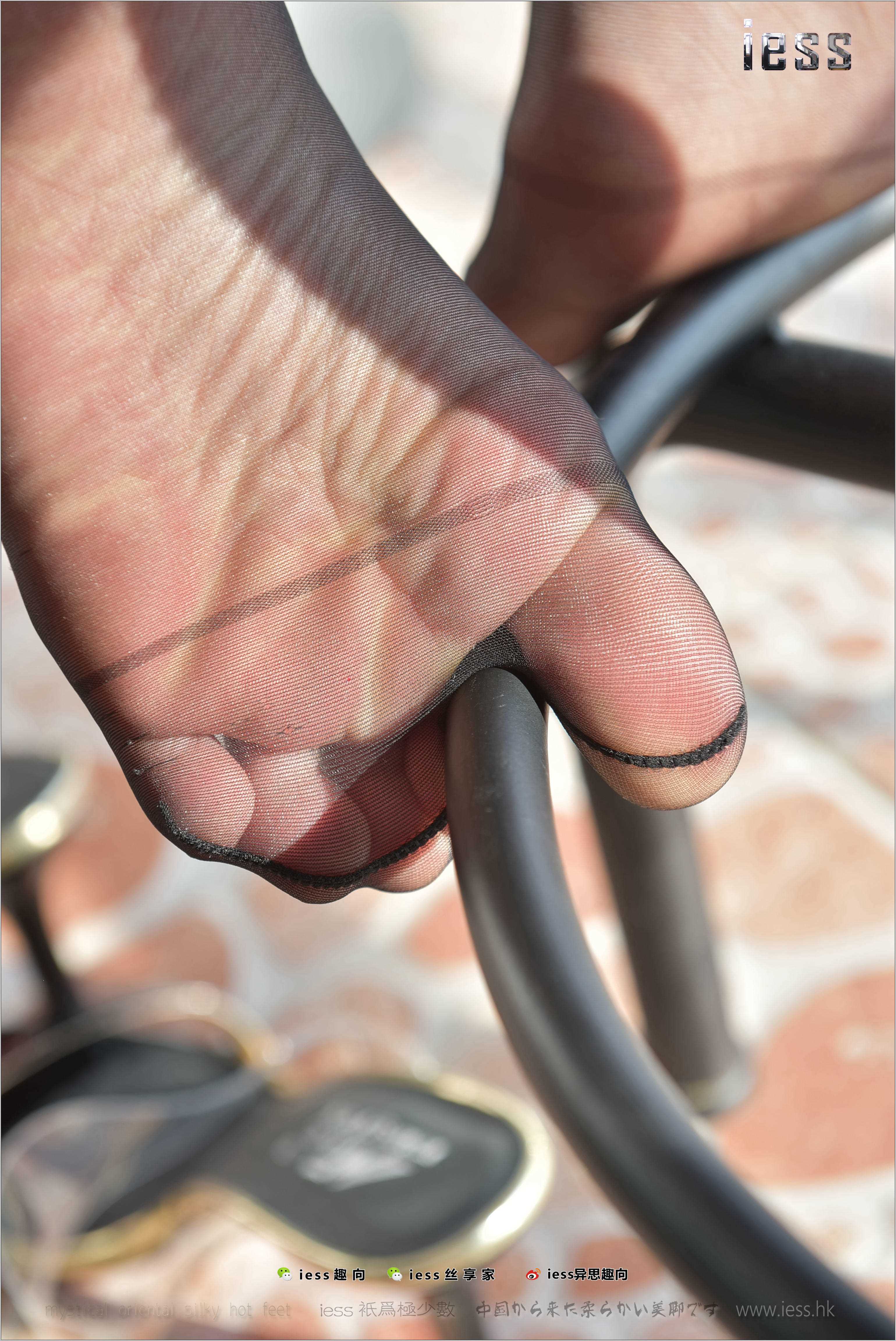 China Beauty Legs and feet 258