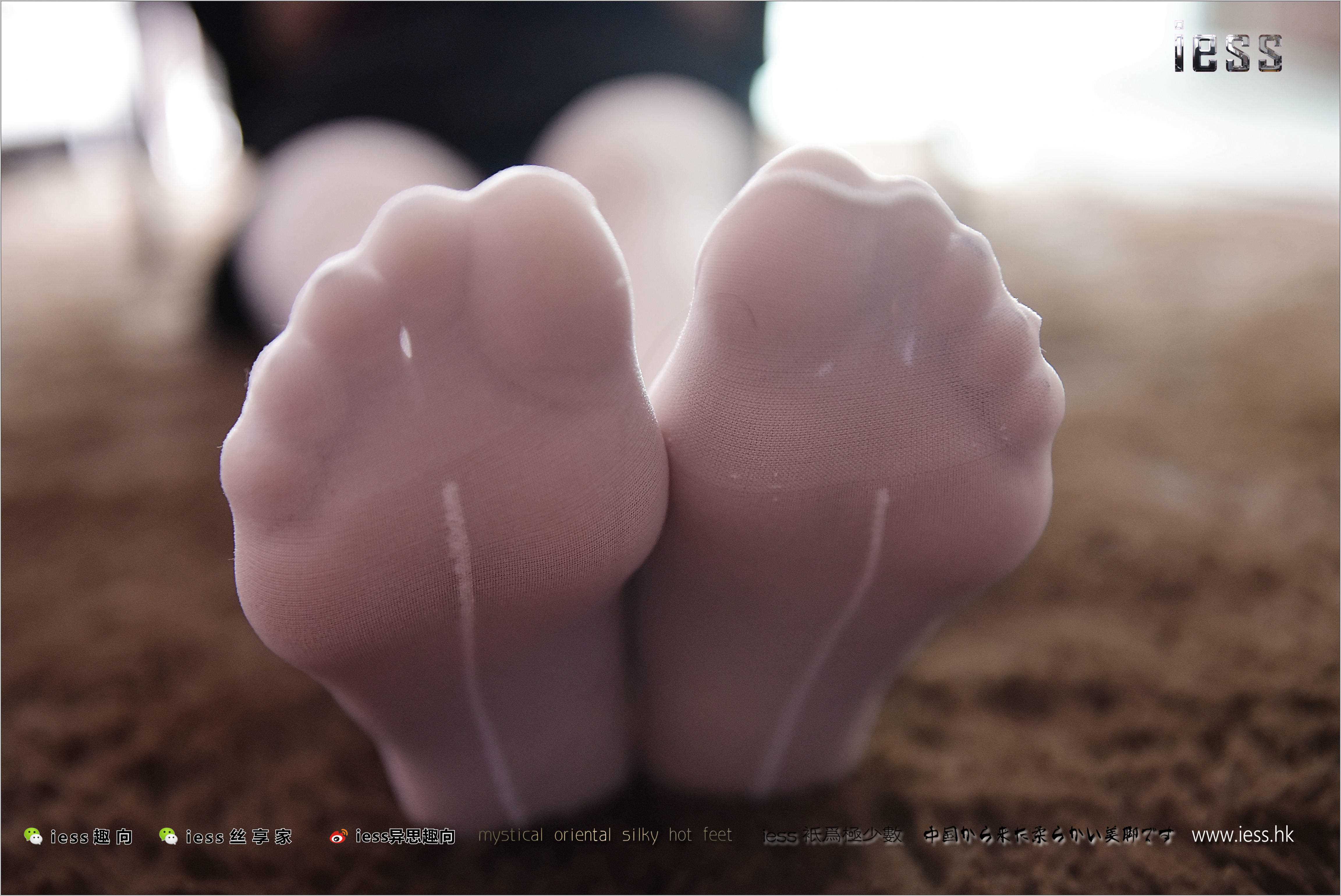 China Beauty Legs and feet 260