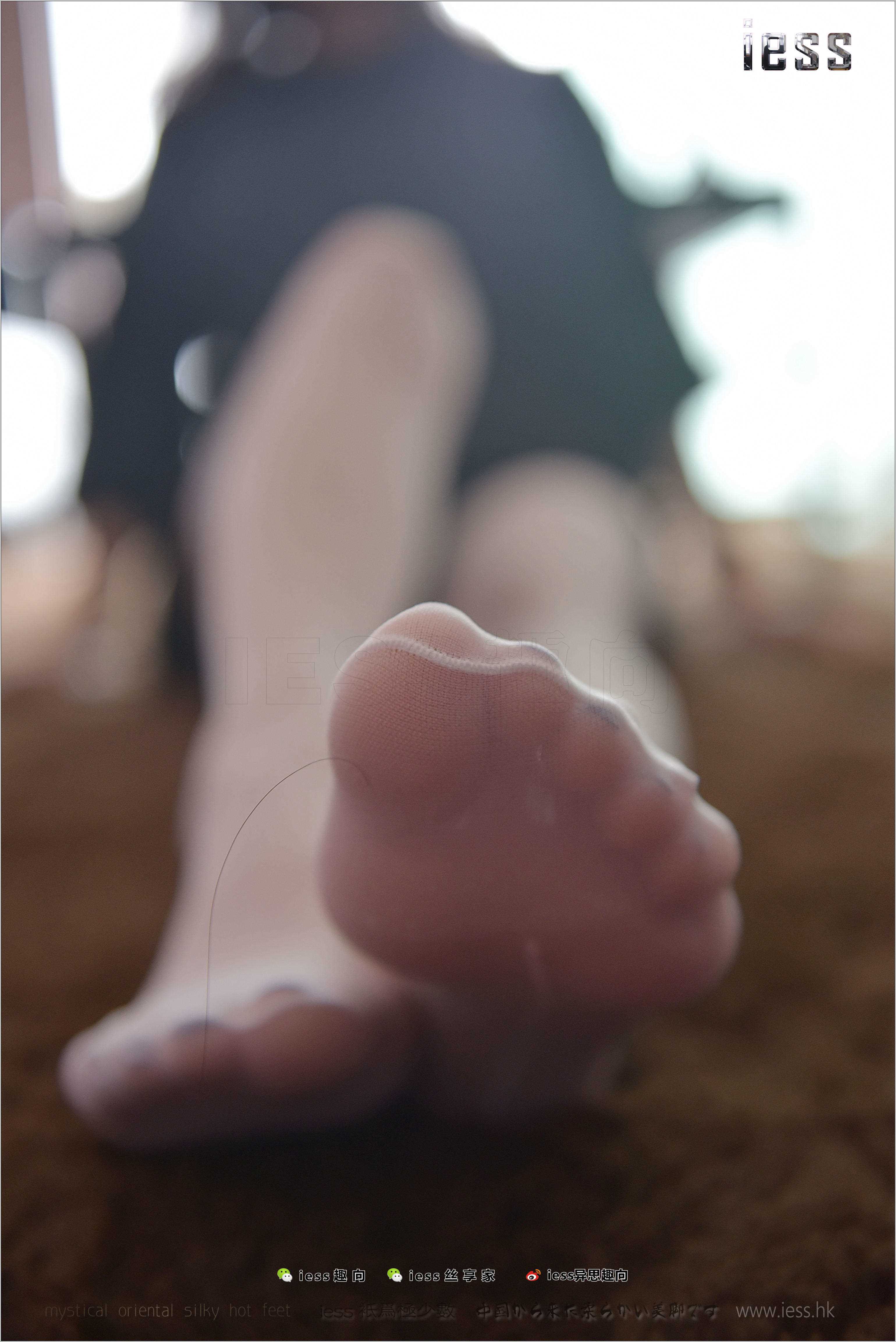 China Beauty Legs and feet 260