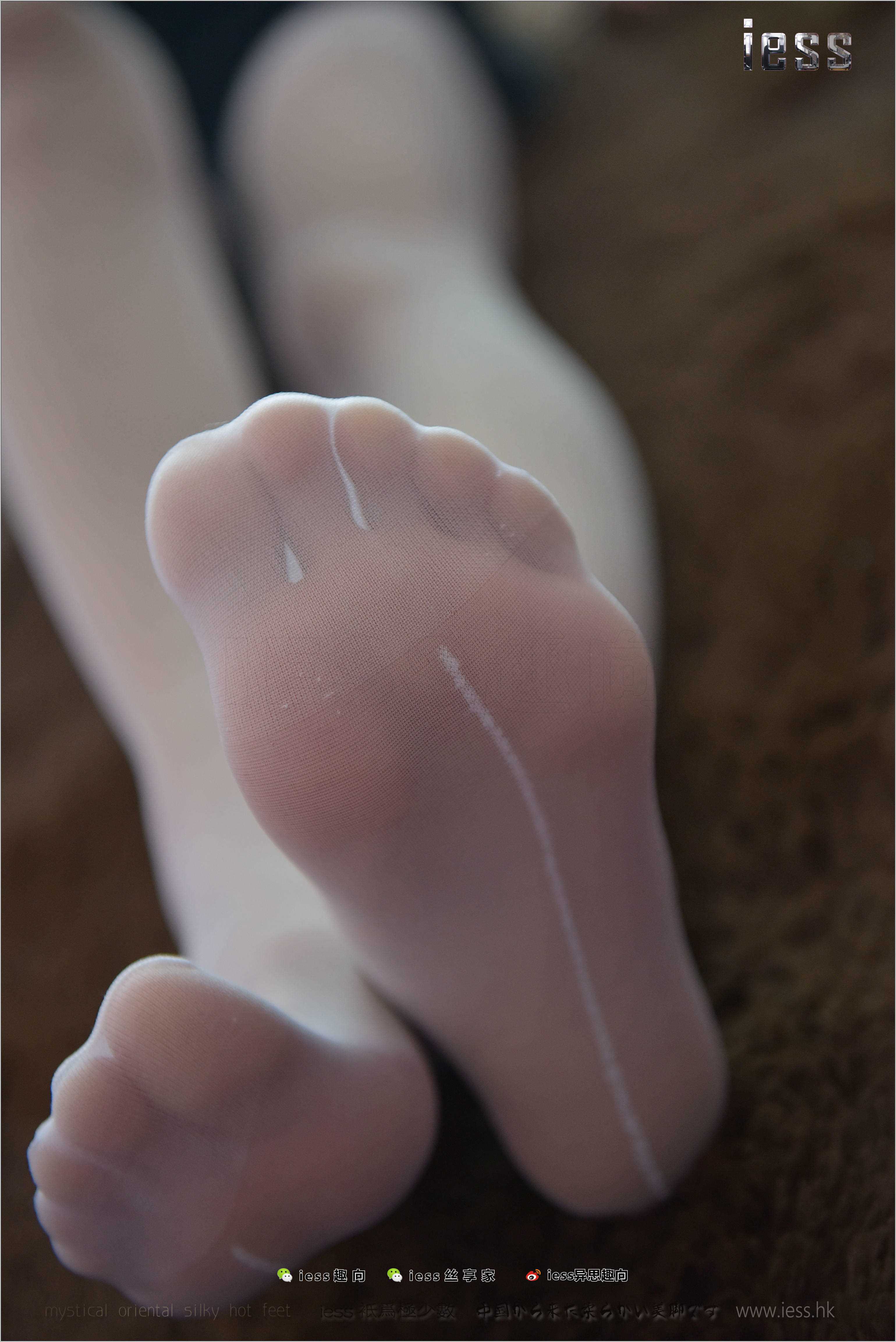 China Beauty Legs and feet 260