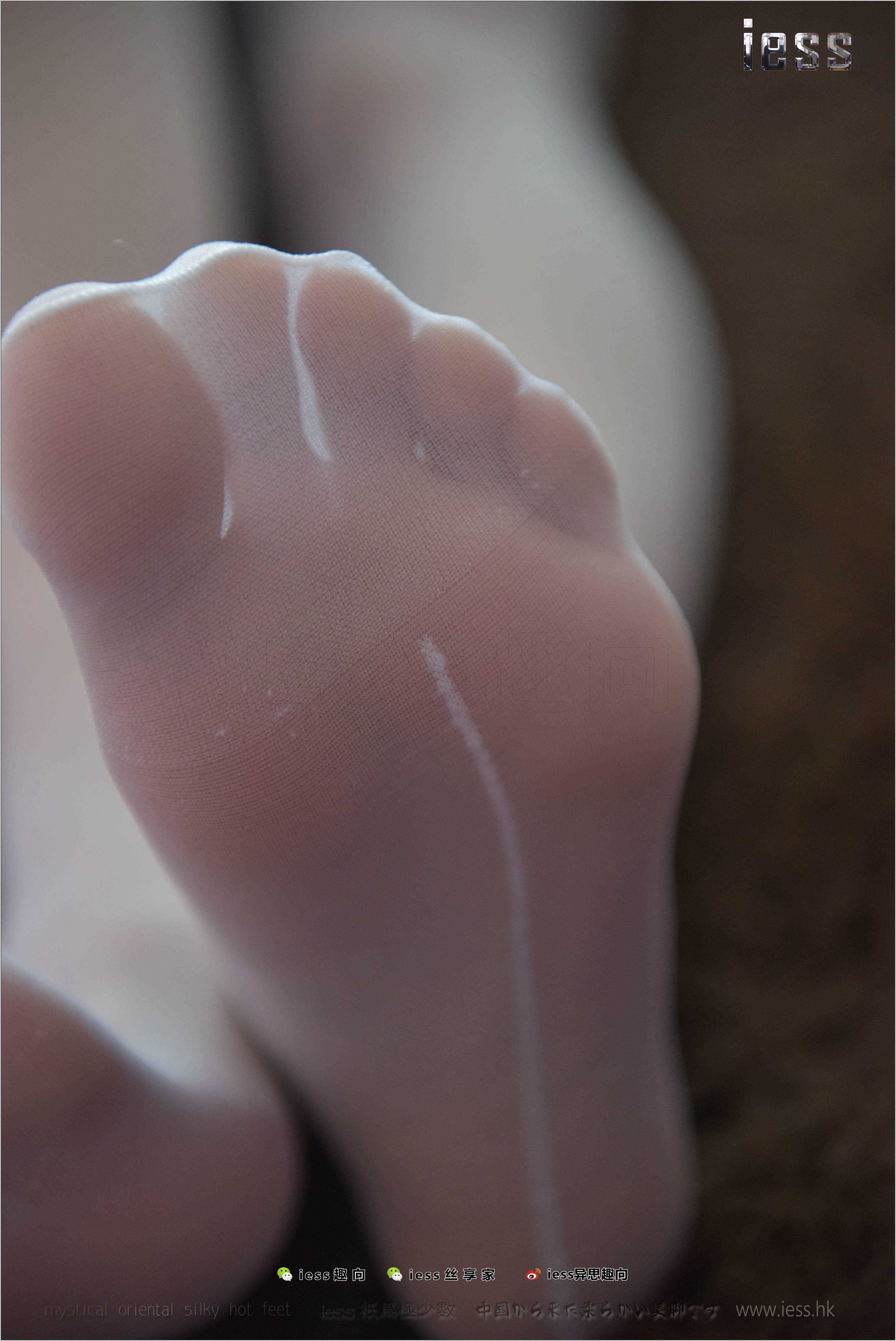 China Beauty Legs and feet 260