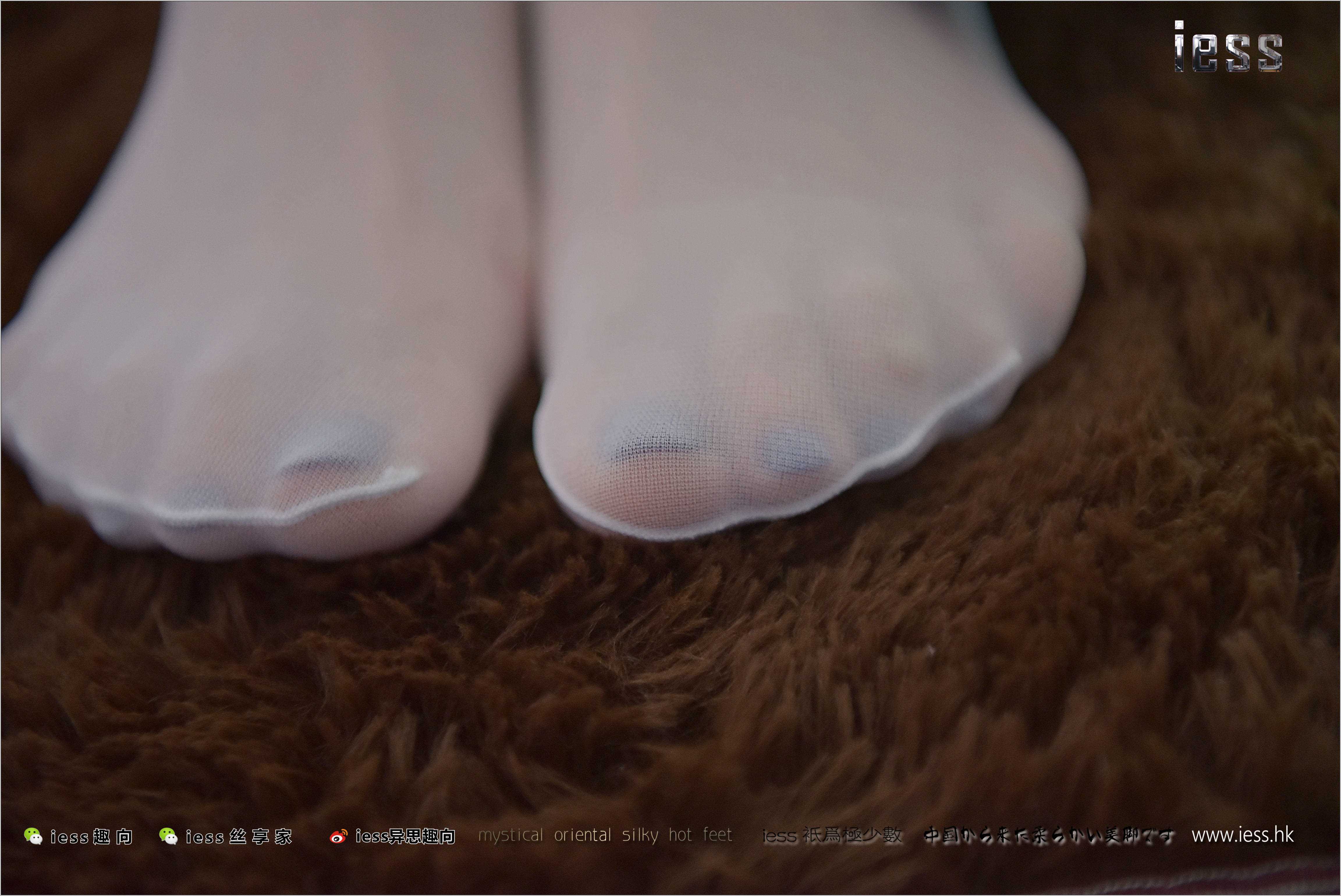 China Beauty Legs and feet 260