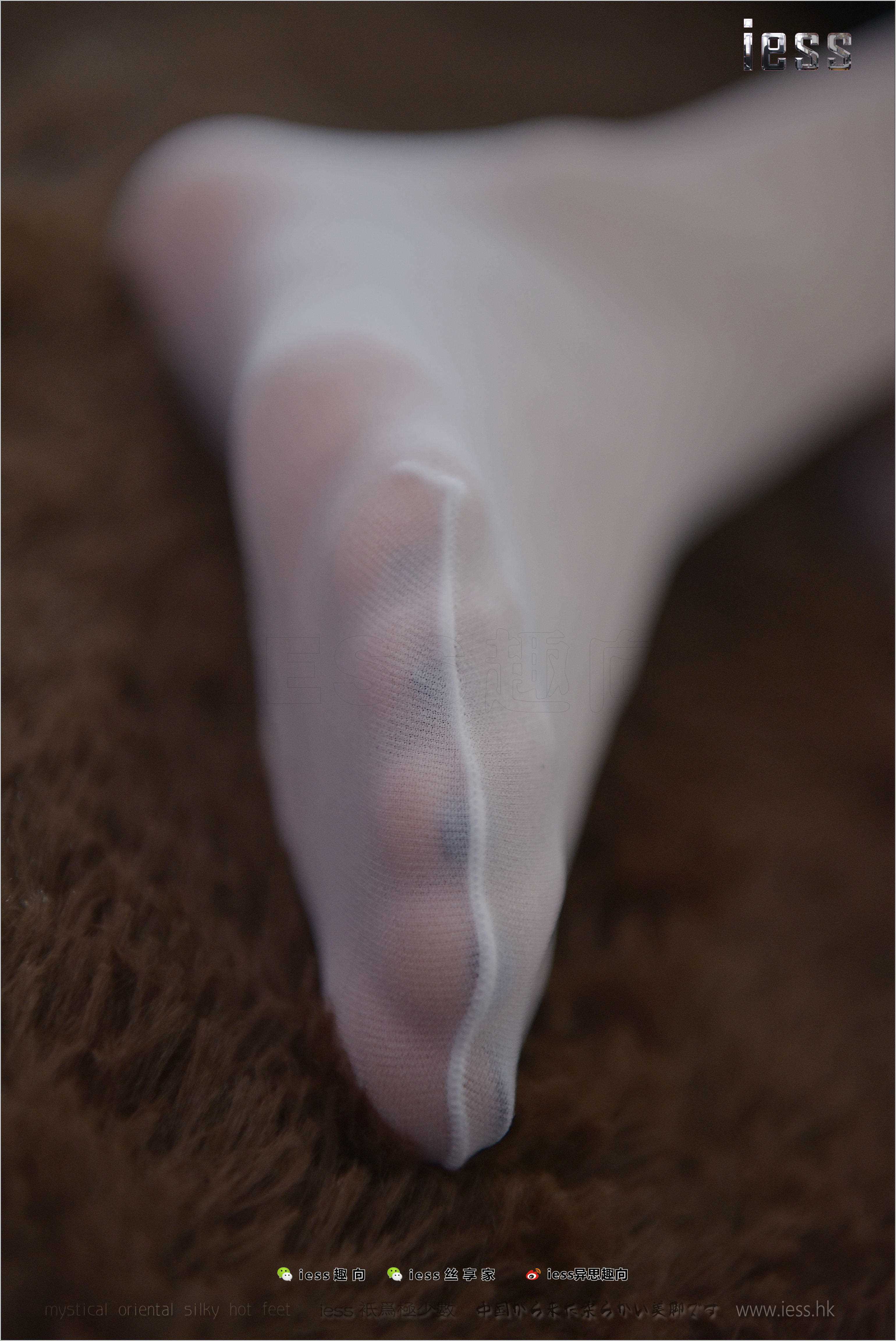 China Beauty Legs and feet 260