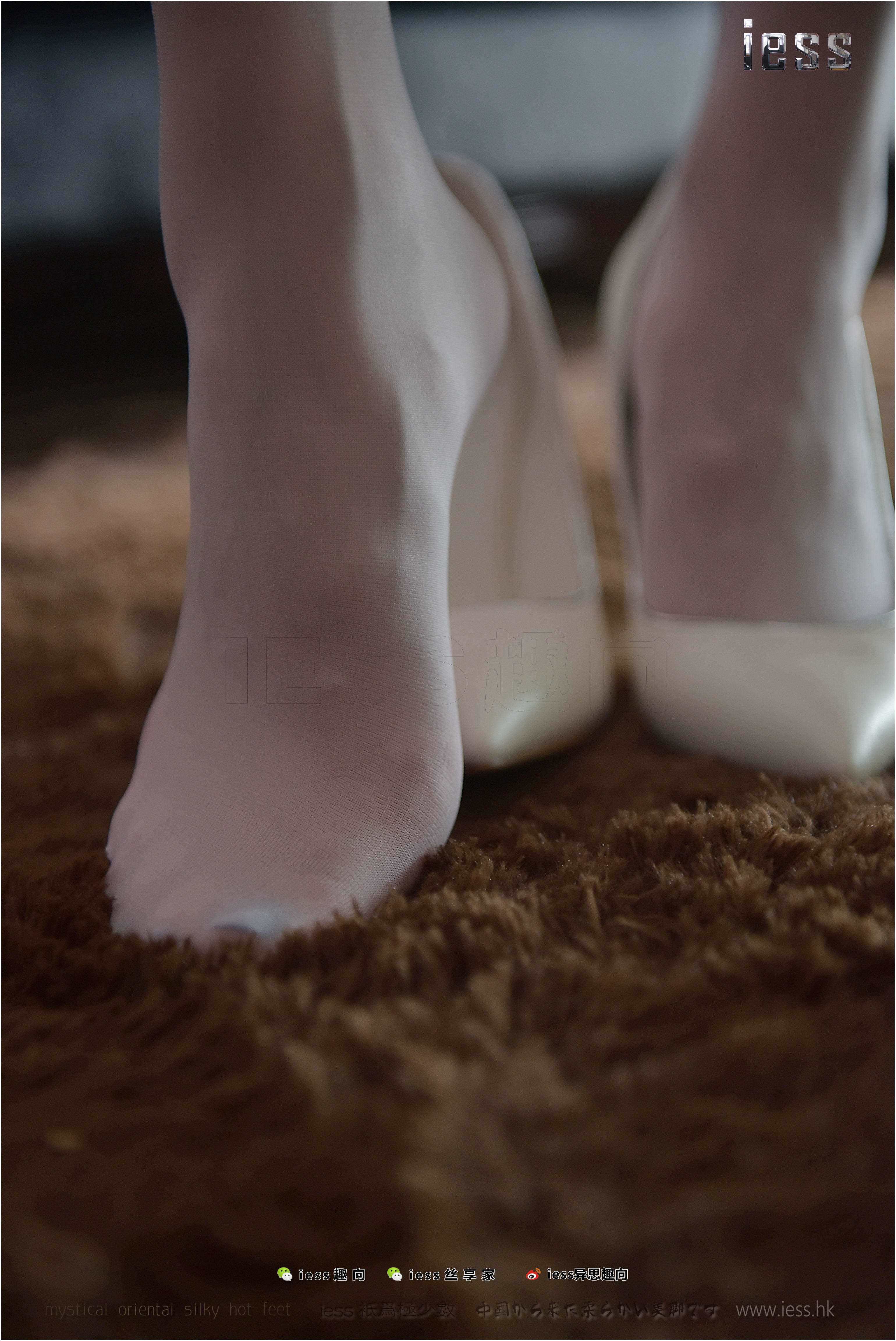 China Beauty Legs and feet 260