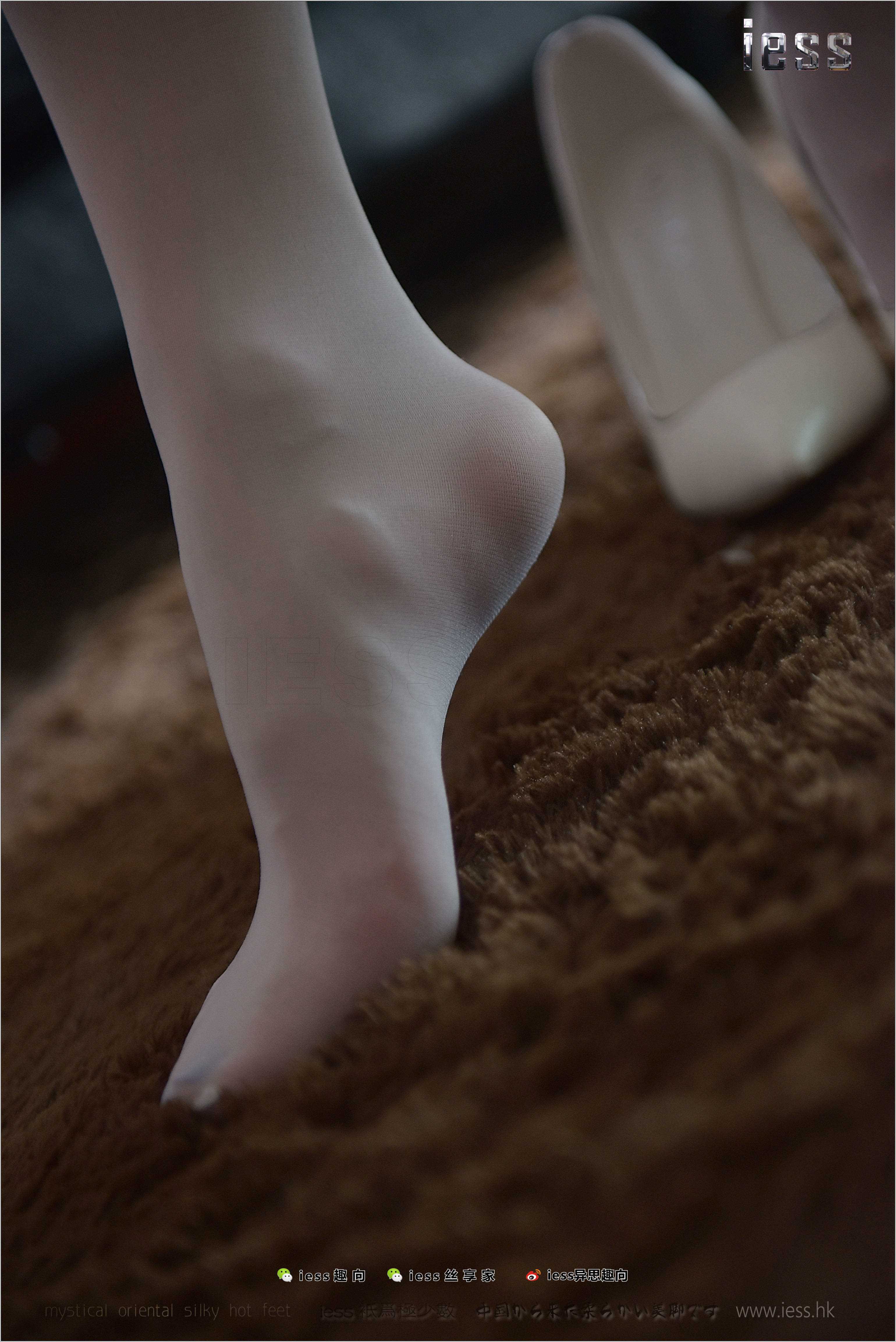 China Beauty Legs and feet 260