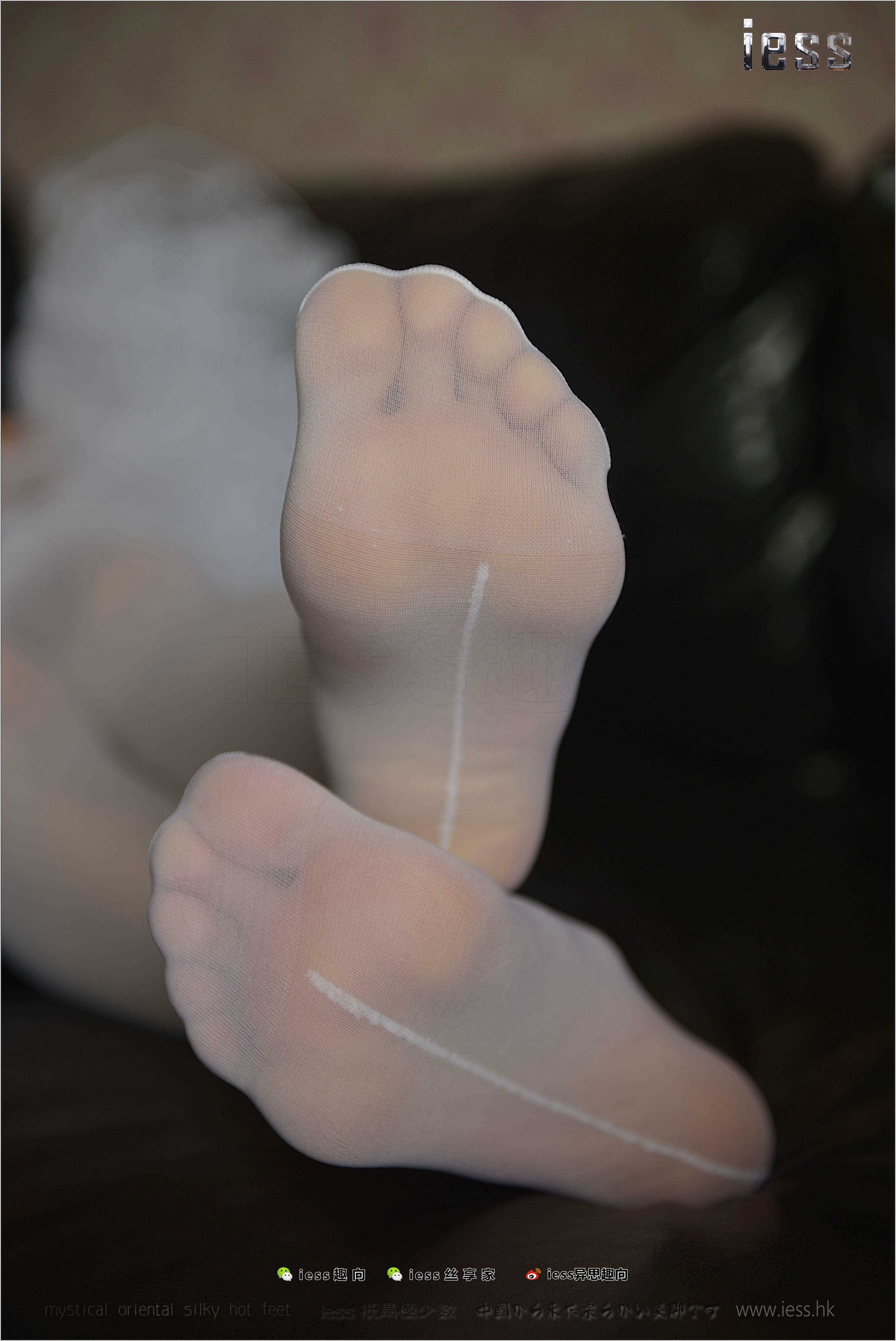 China Beauty Legs and feet 260