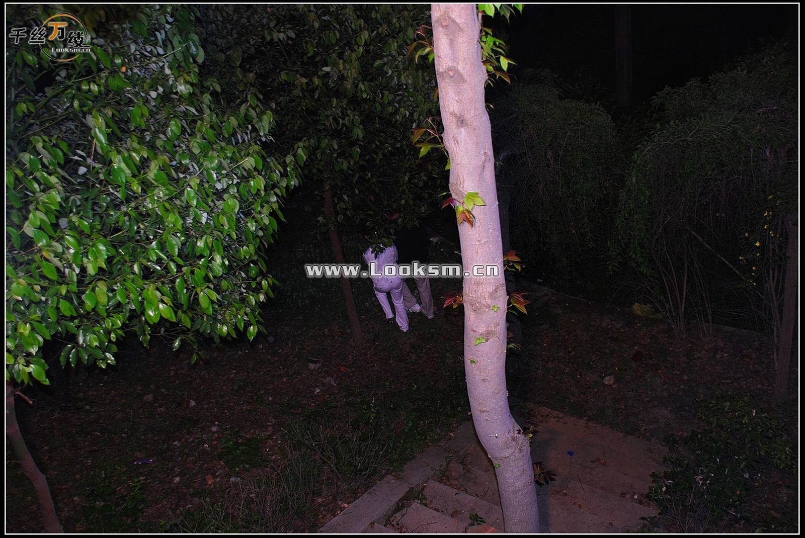 Chinese Rope Model 258