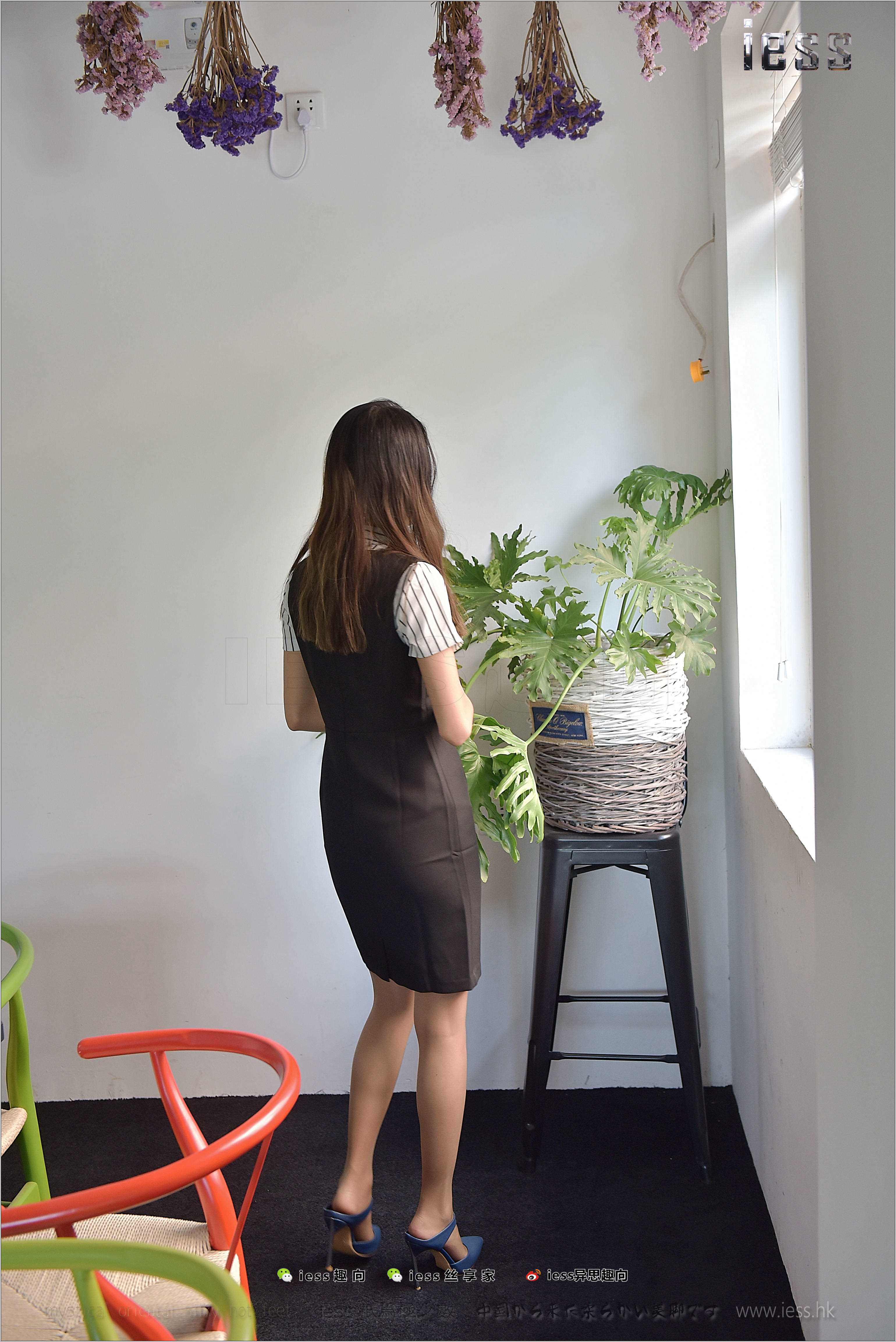 China Beauty Legs and feet 261