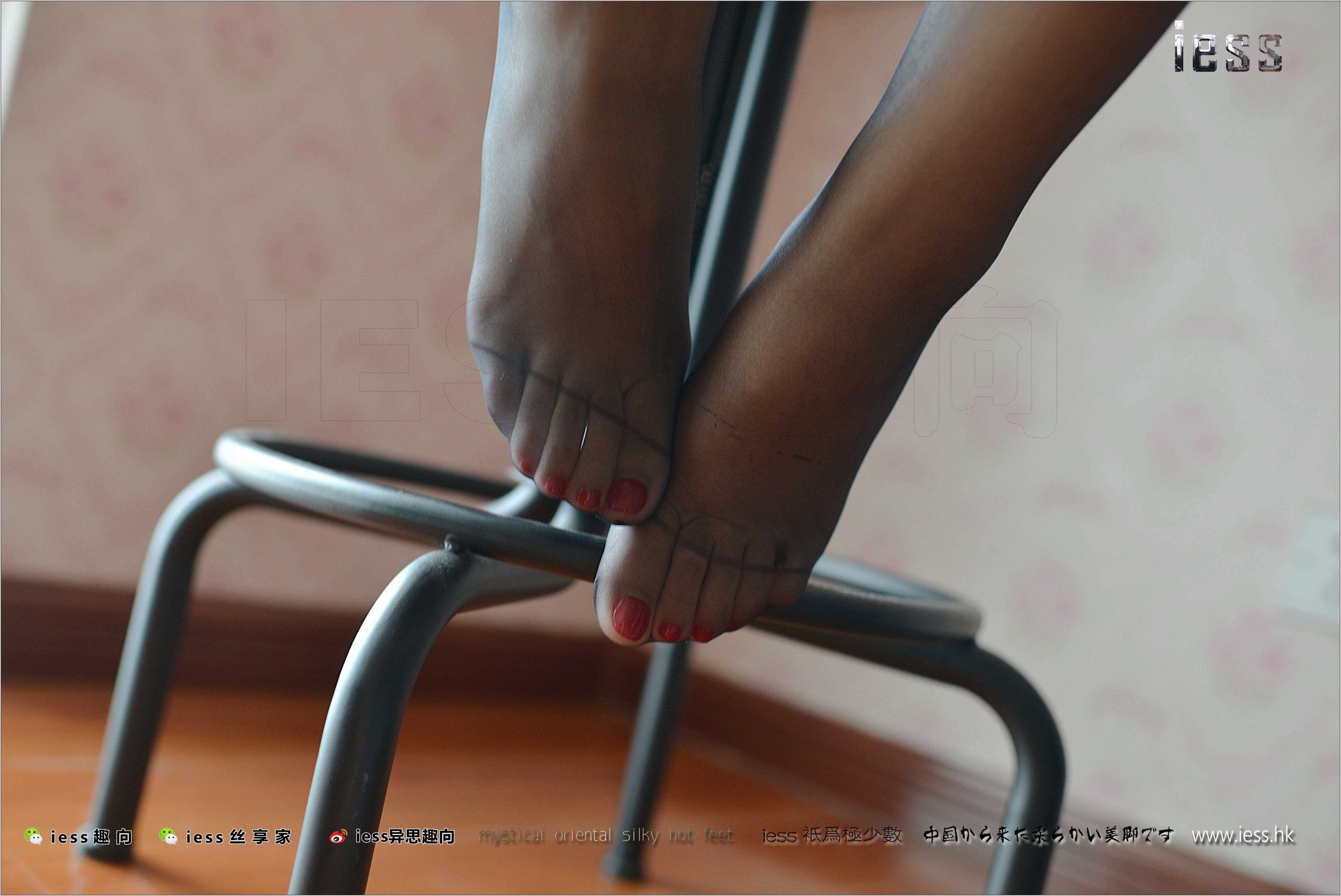 China Beauty Legs and feet 262