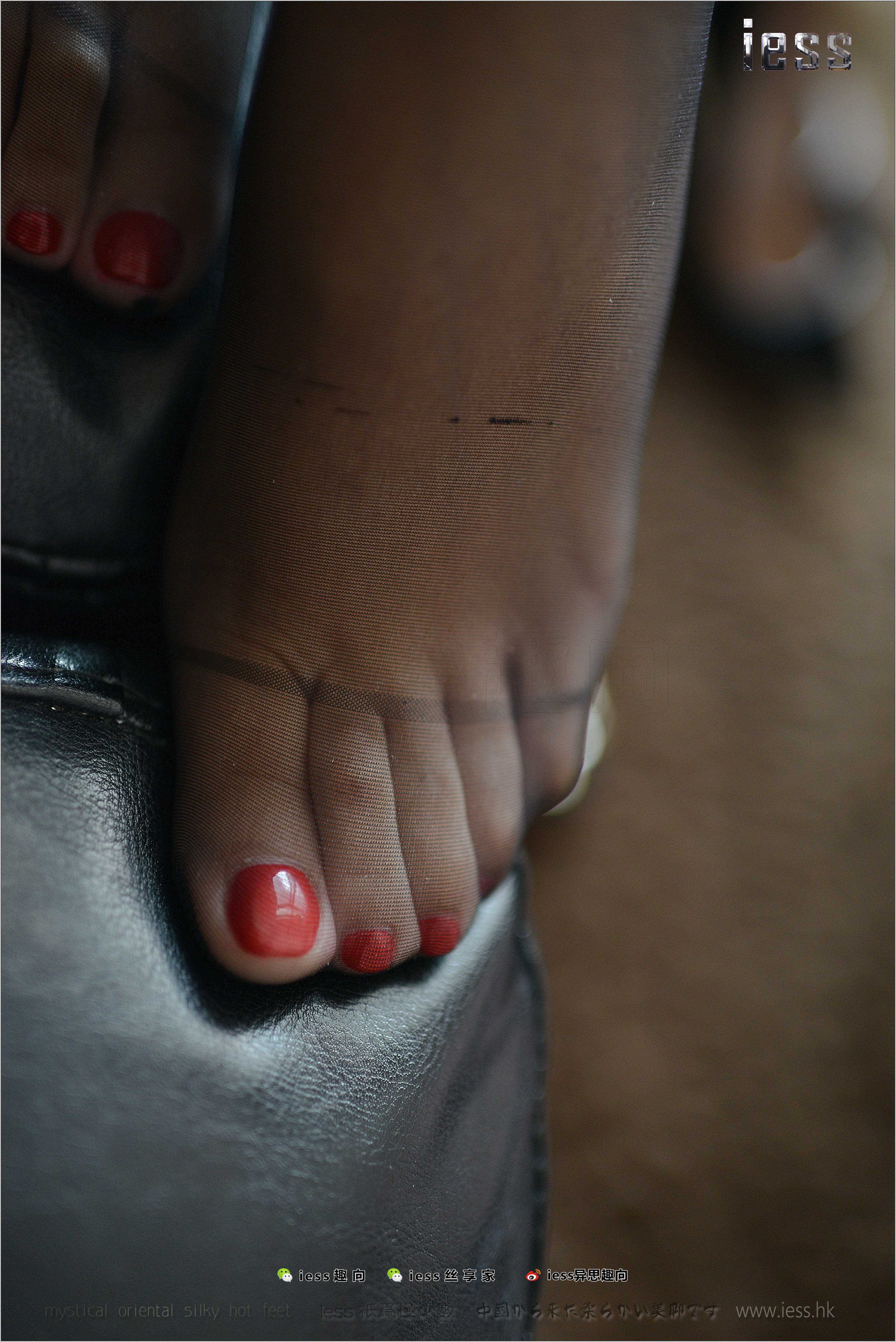 China Beauty Legs and feet 262