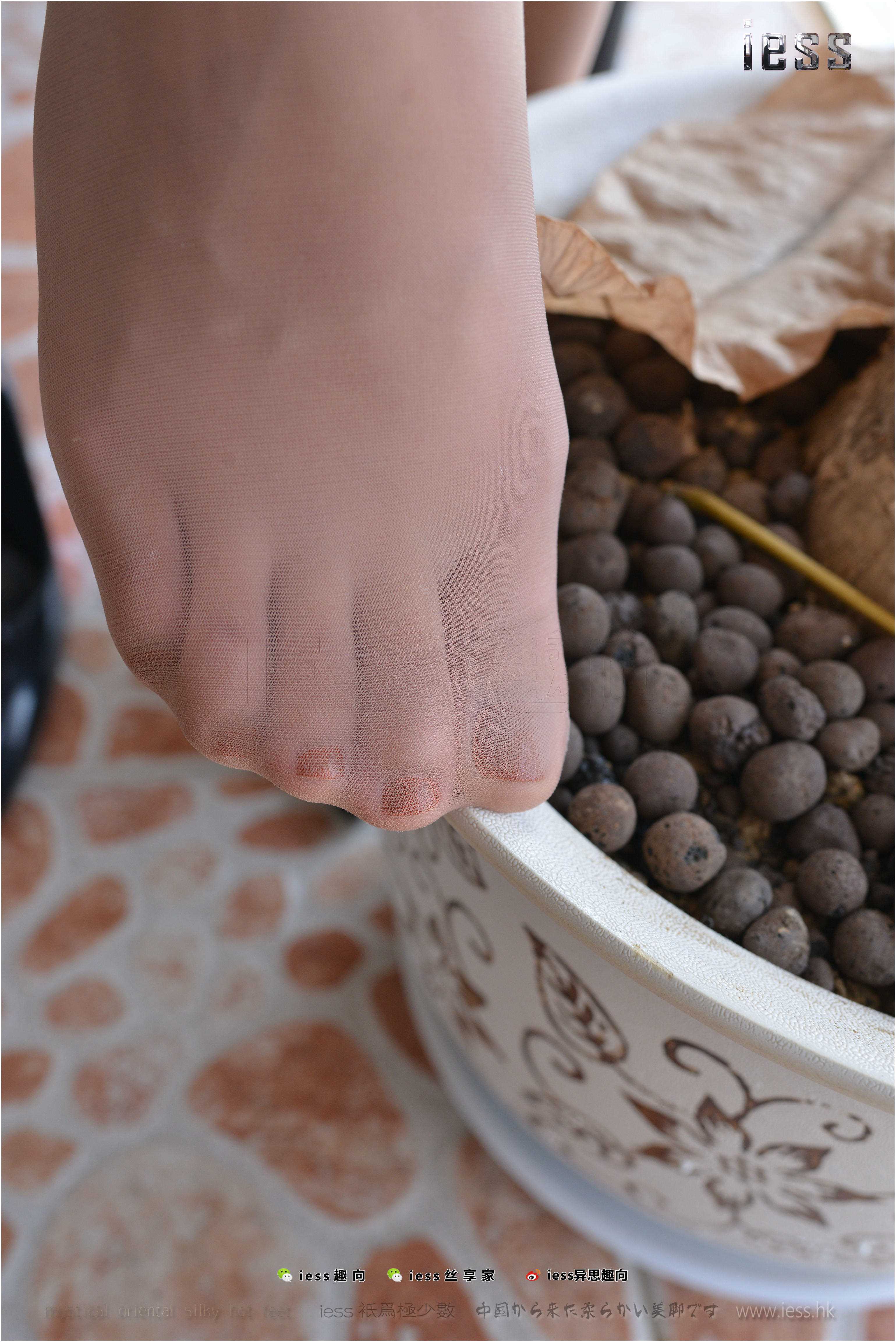 China Beauty Legs and feet 265