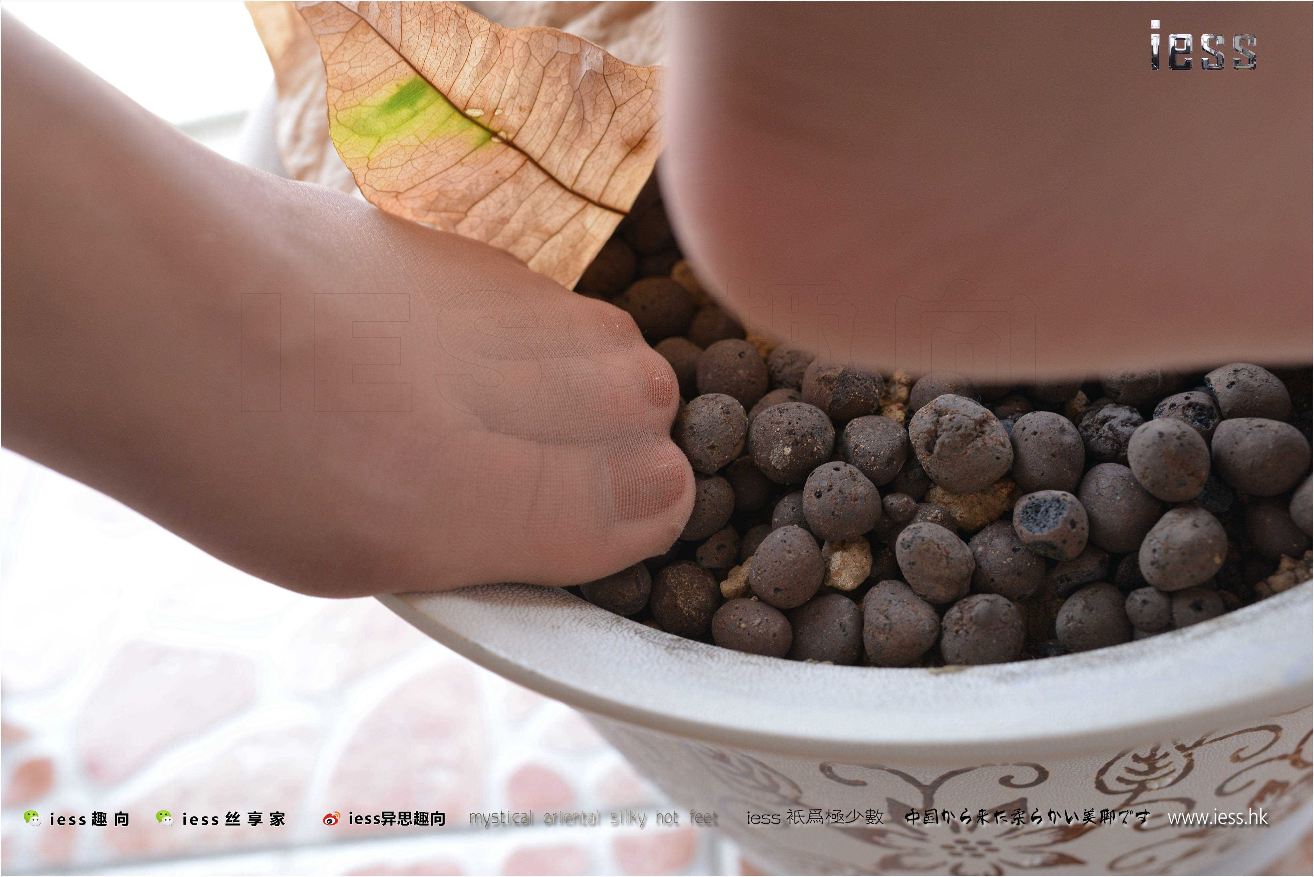 China Beauty Legs and feet 265