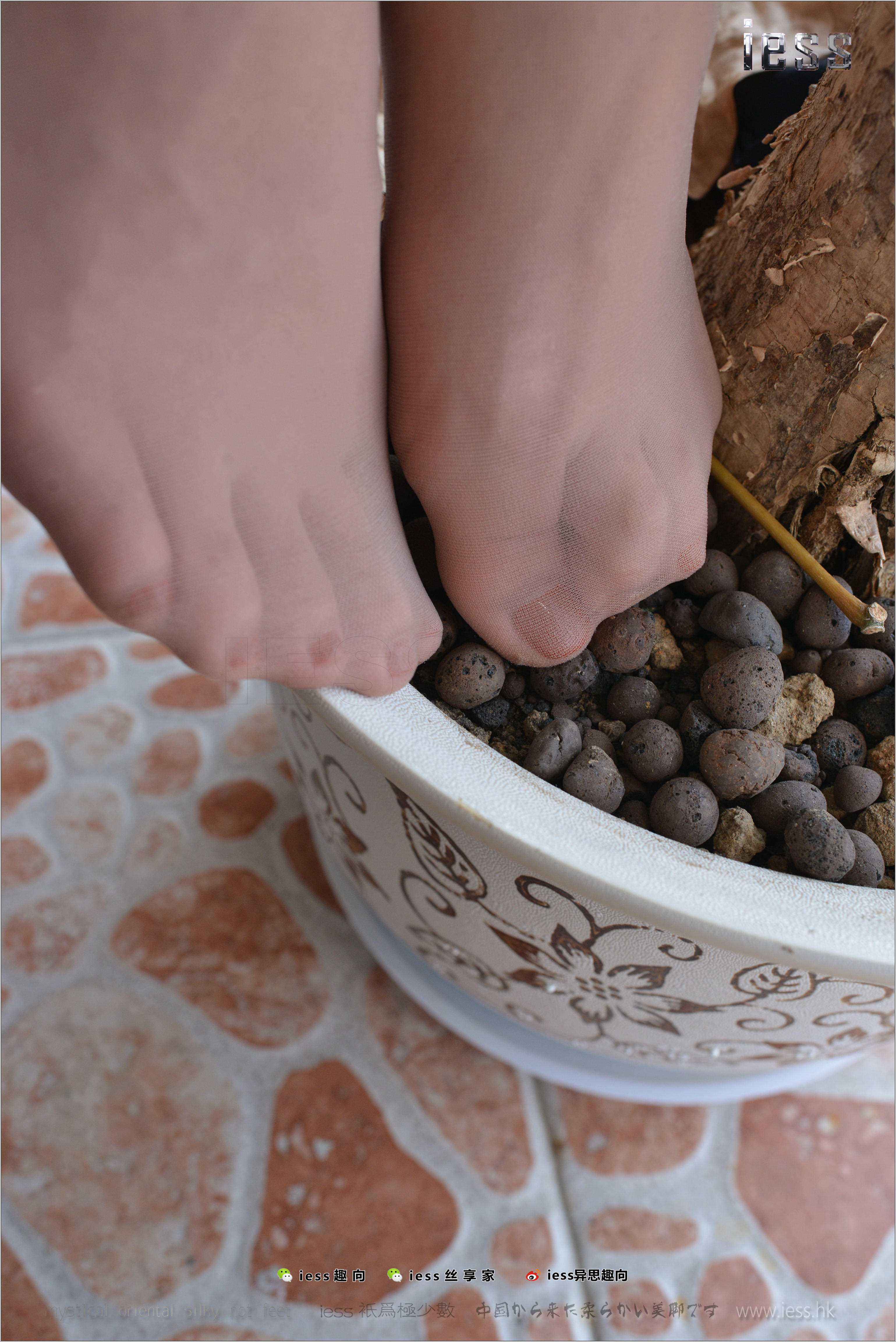 China Beauty Legs and feet 265