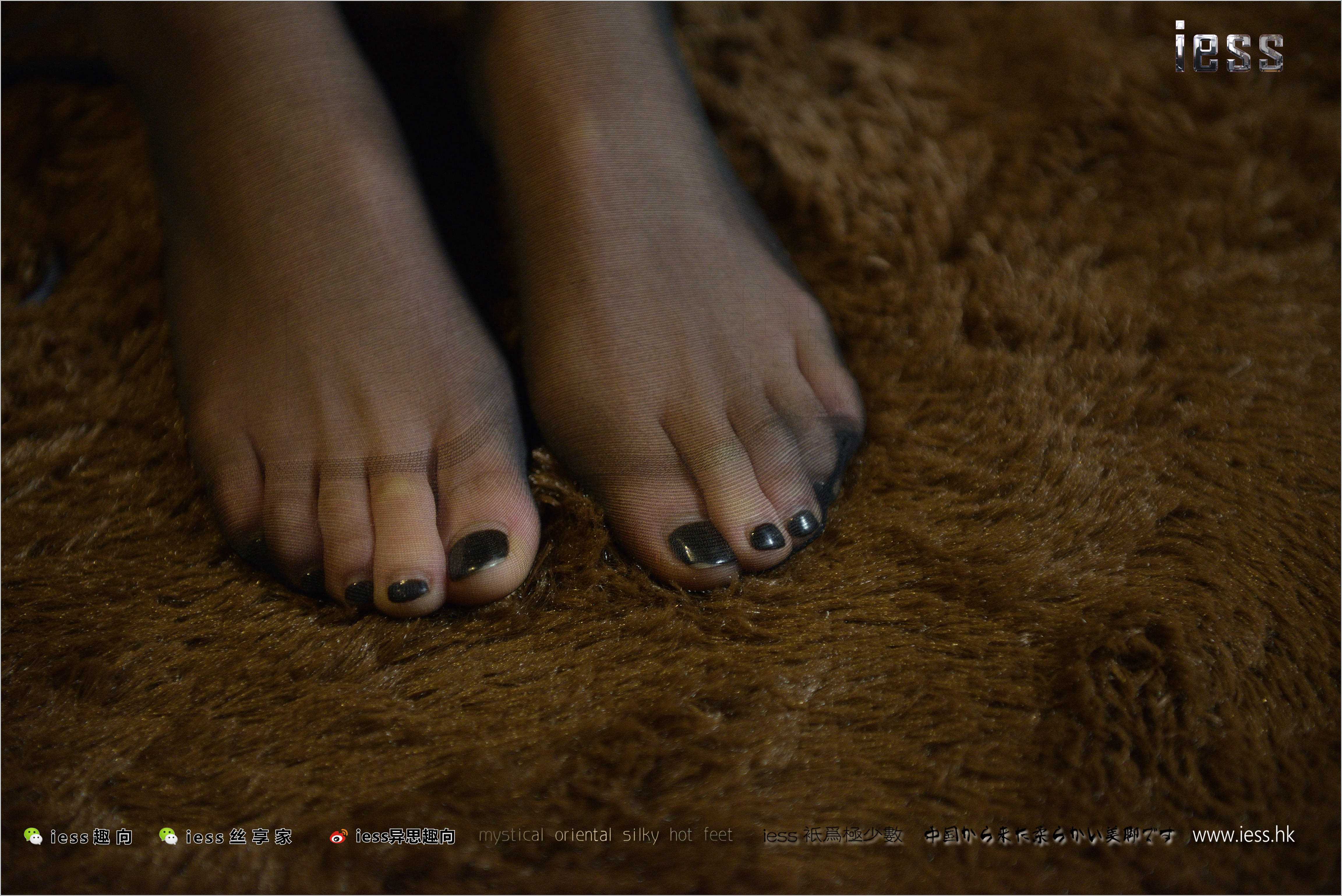 China Beauty Legs and feet 268