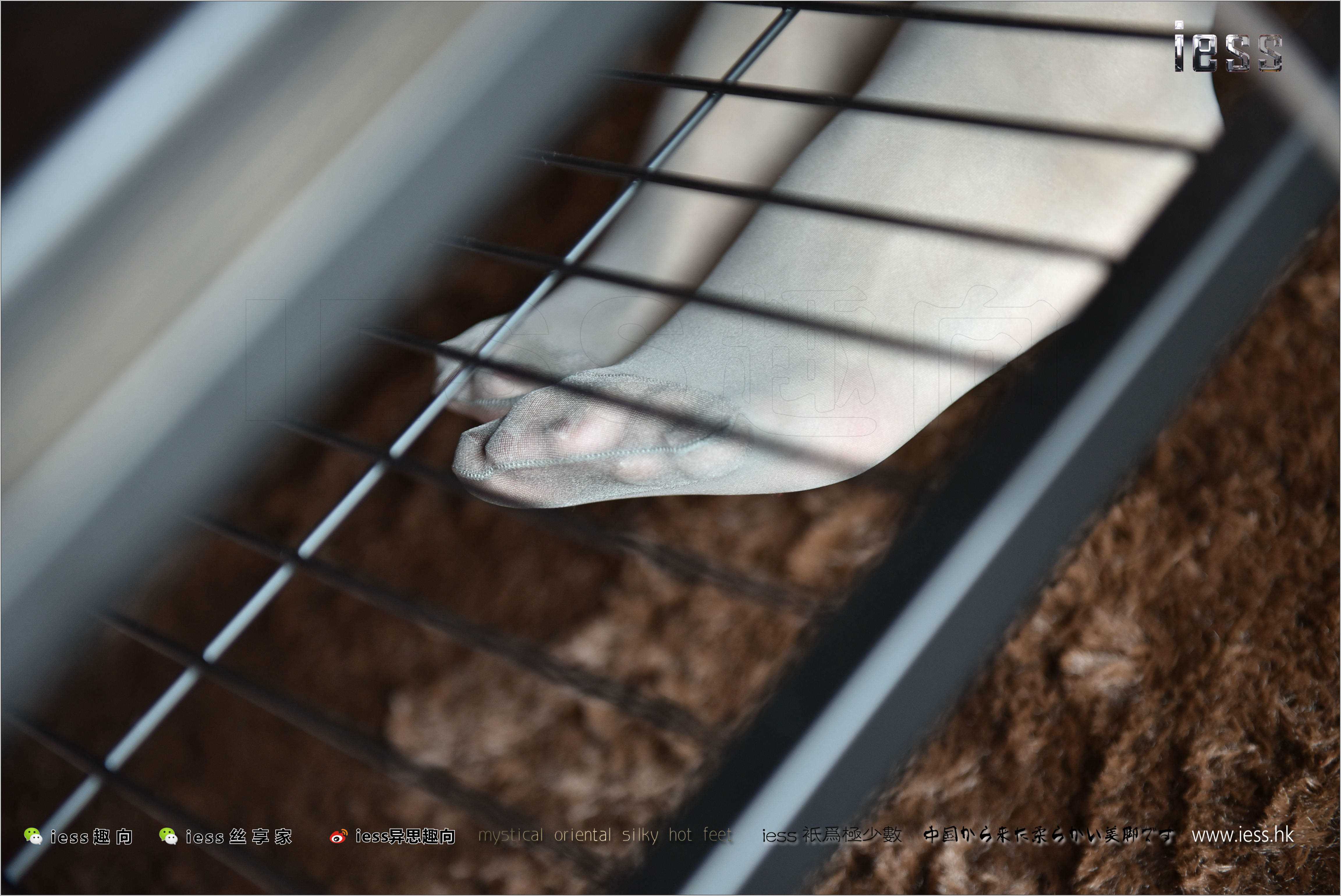 China Beauty Legs and feet 269