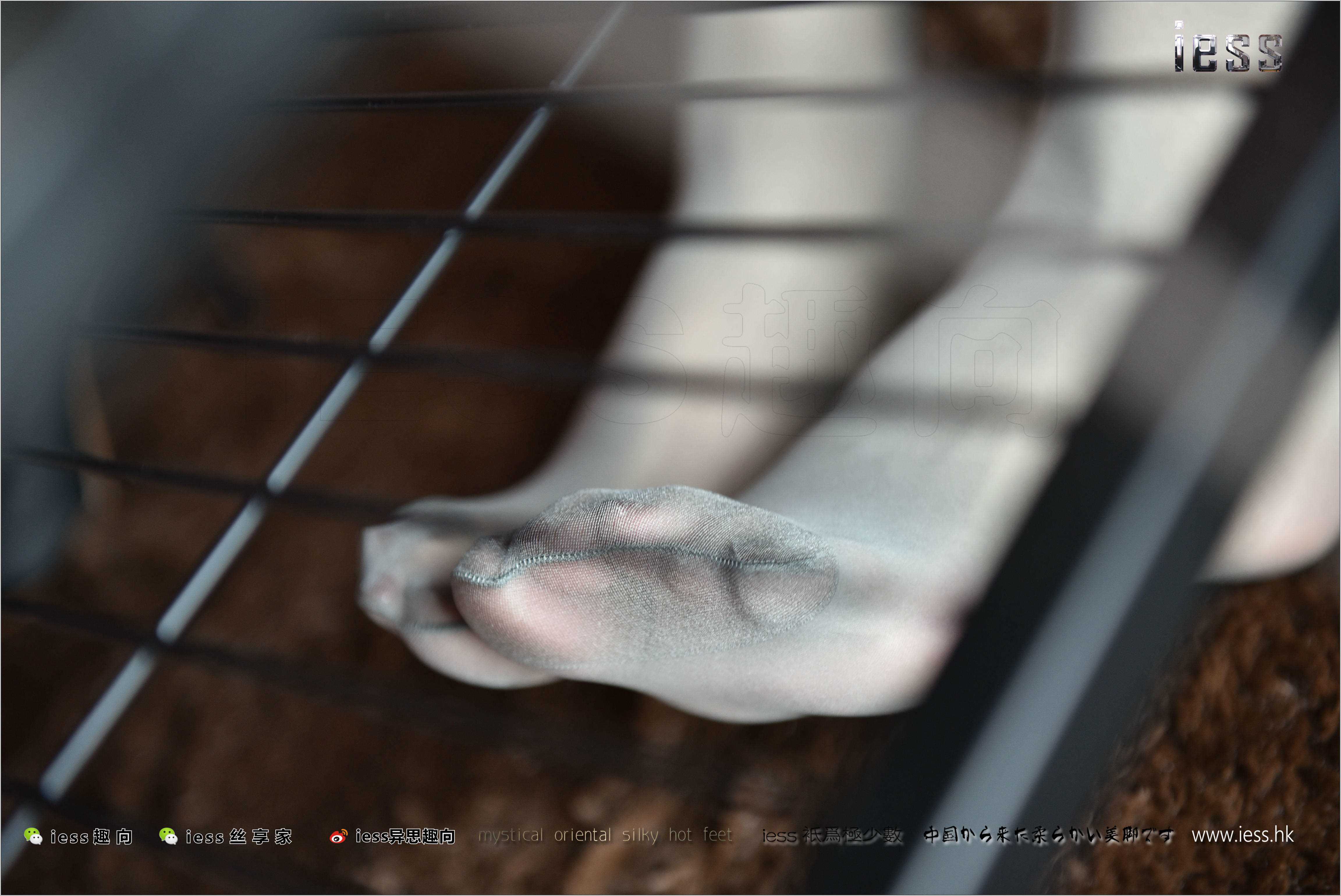 China Beauty Legs and feet 269