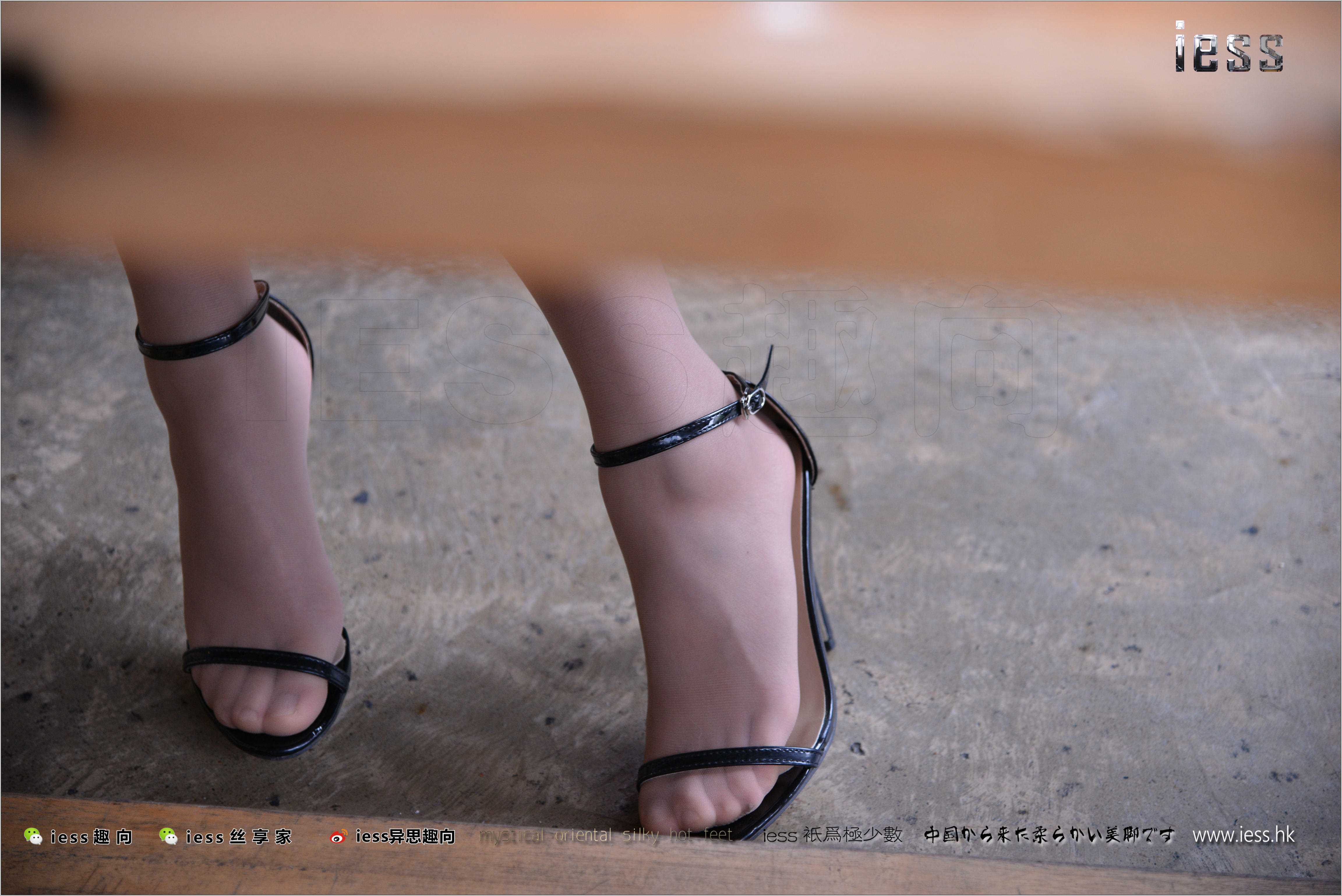 China Beauty Legs and feet 271